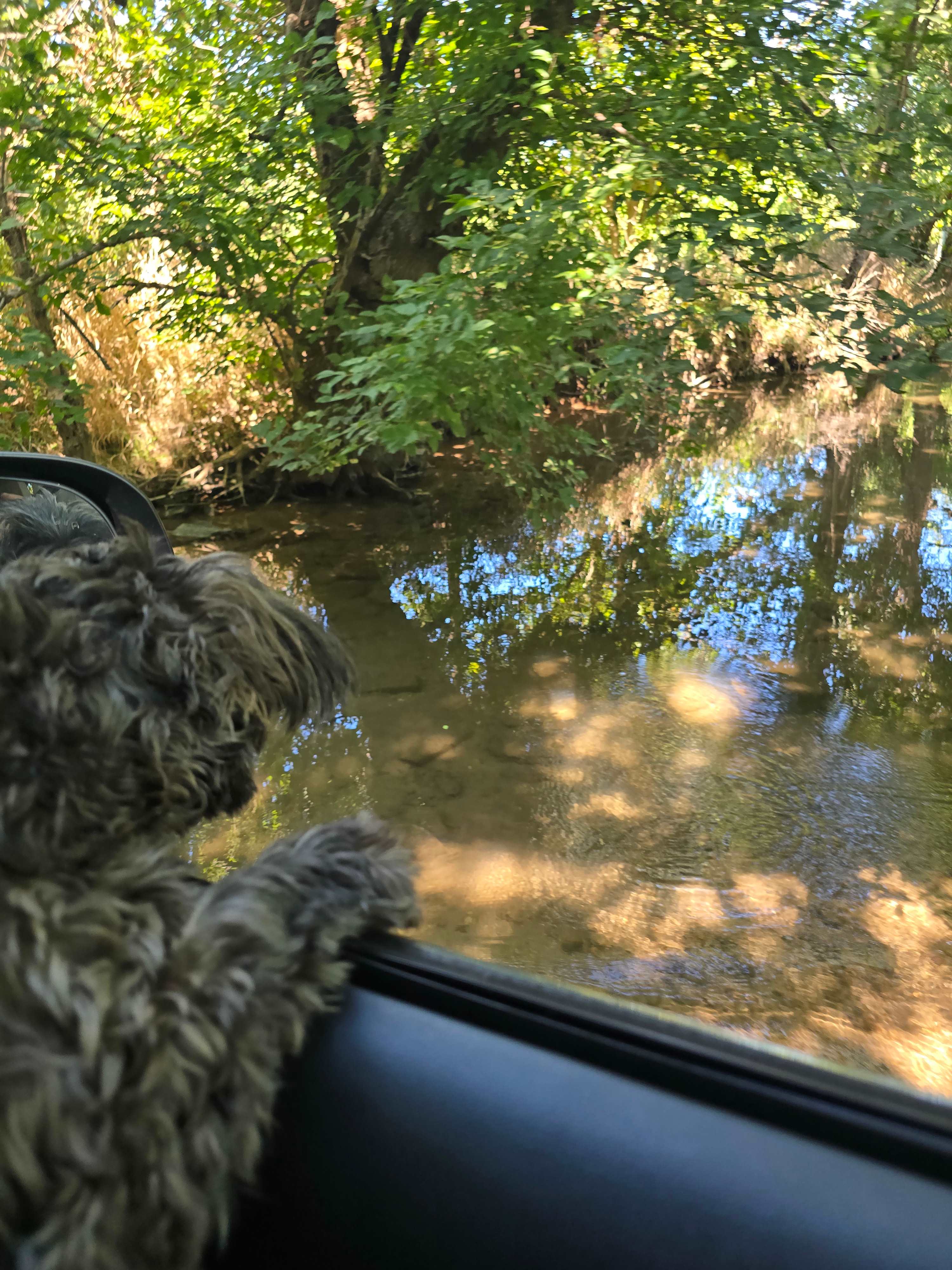 Riverside Farm by the Monocacy