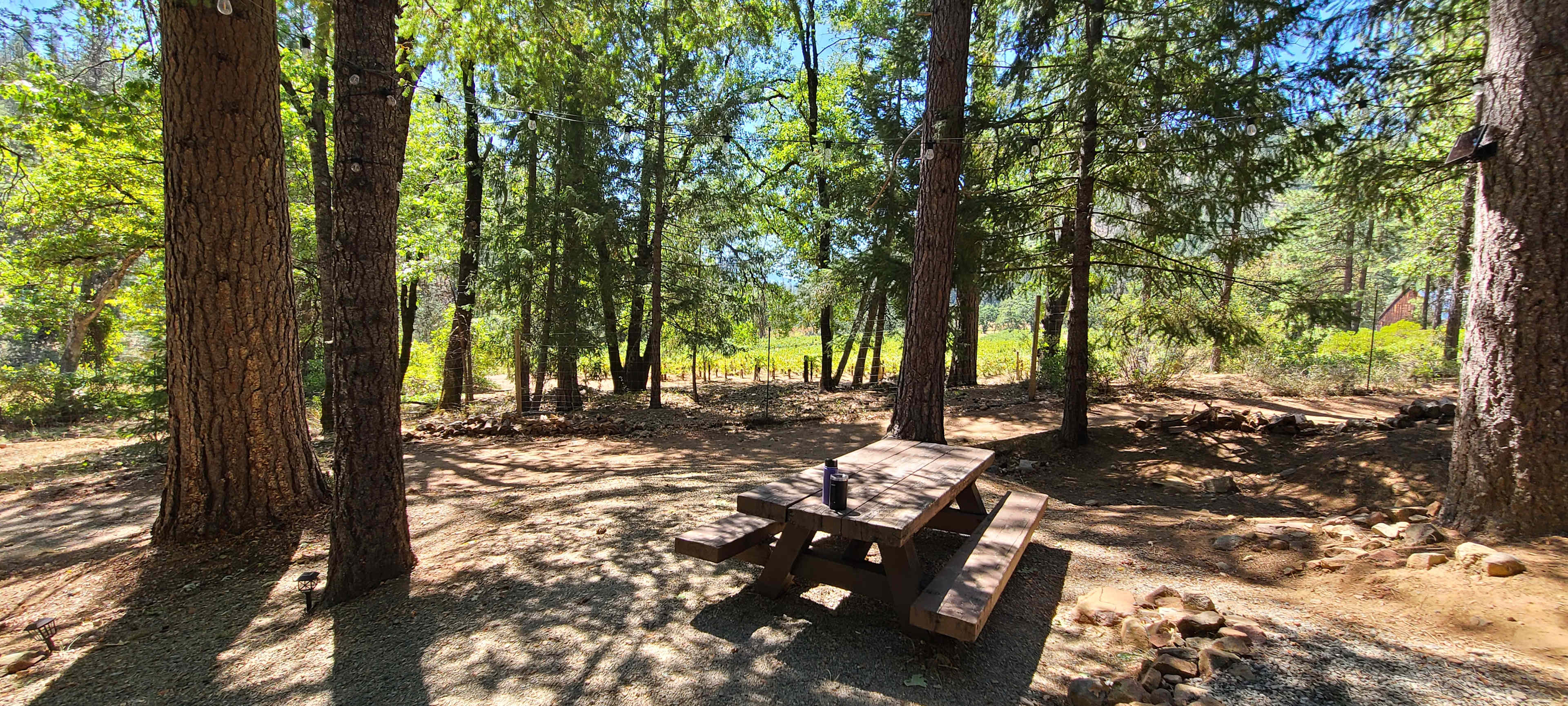 Alpen Vineyard Hideaway