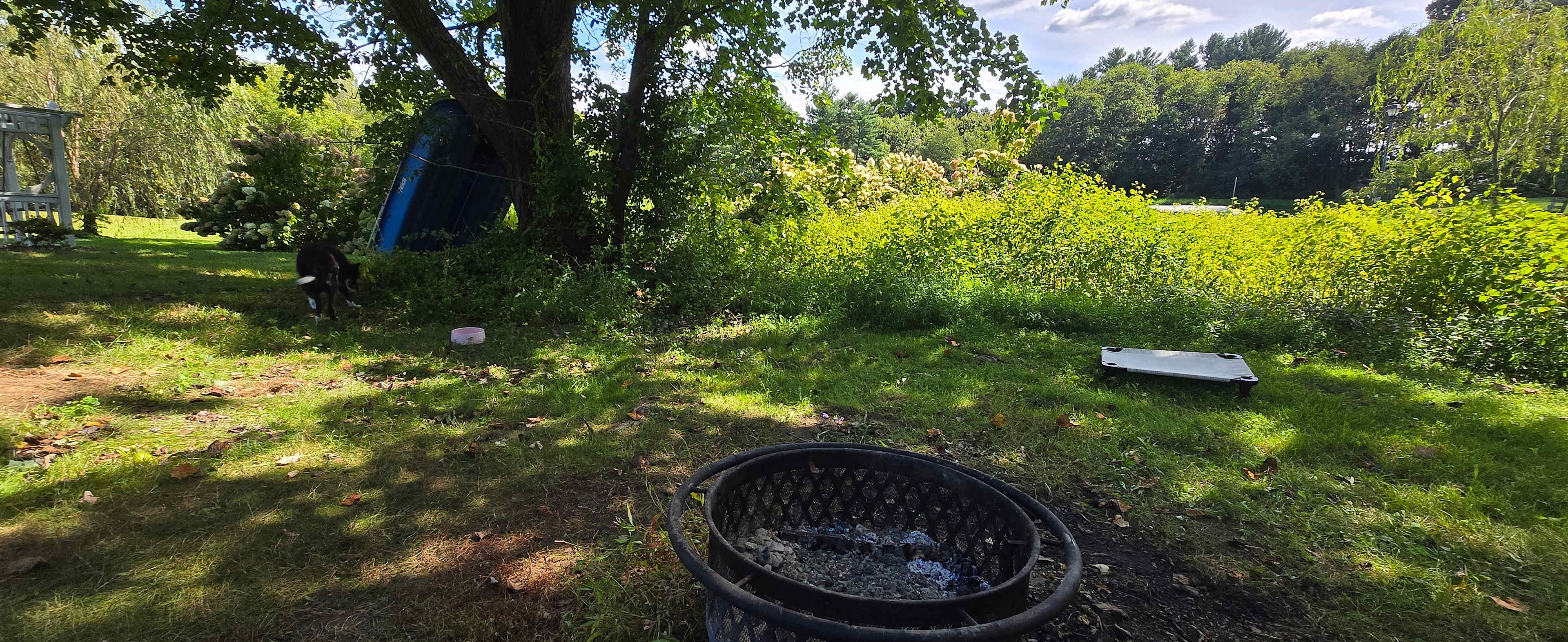 Fawn View Farm, Pond & Fields