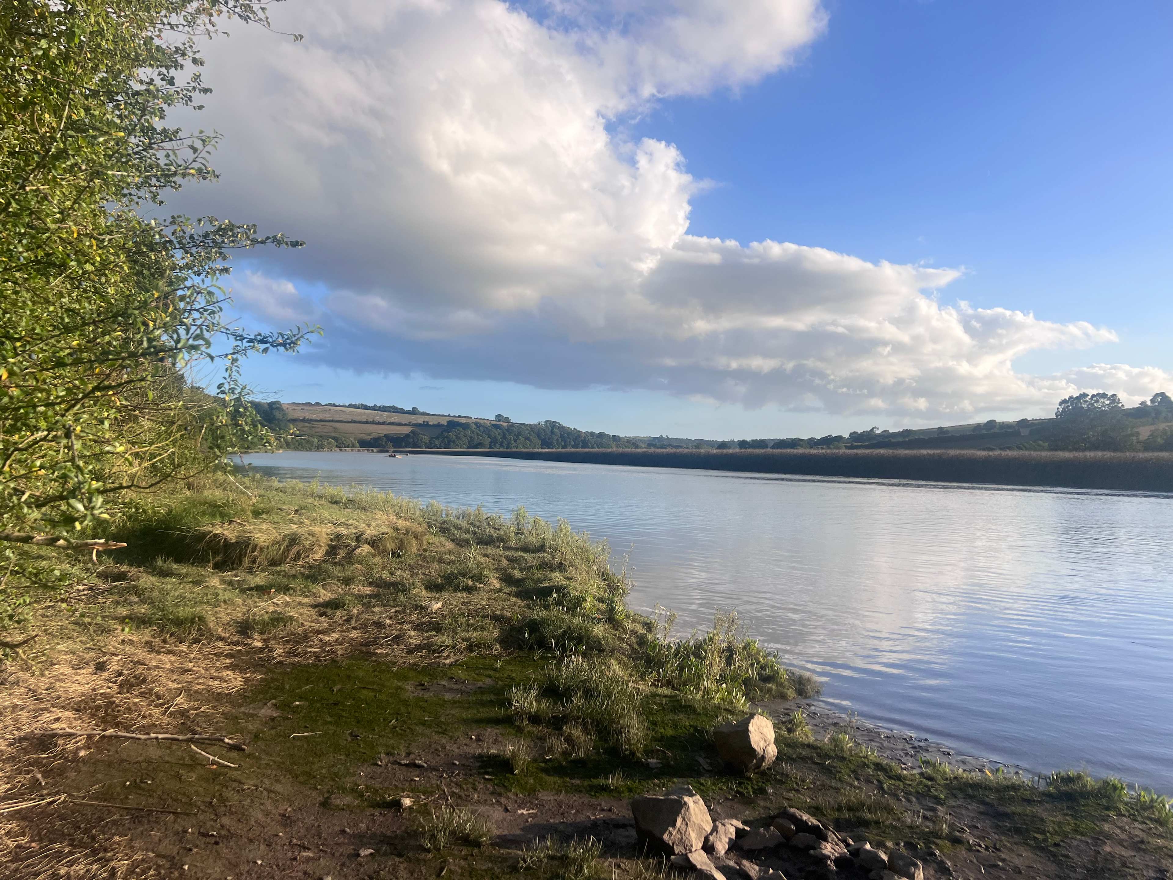 The Enchanted Wilderness