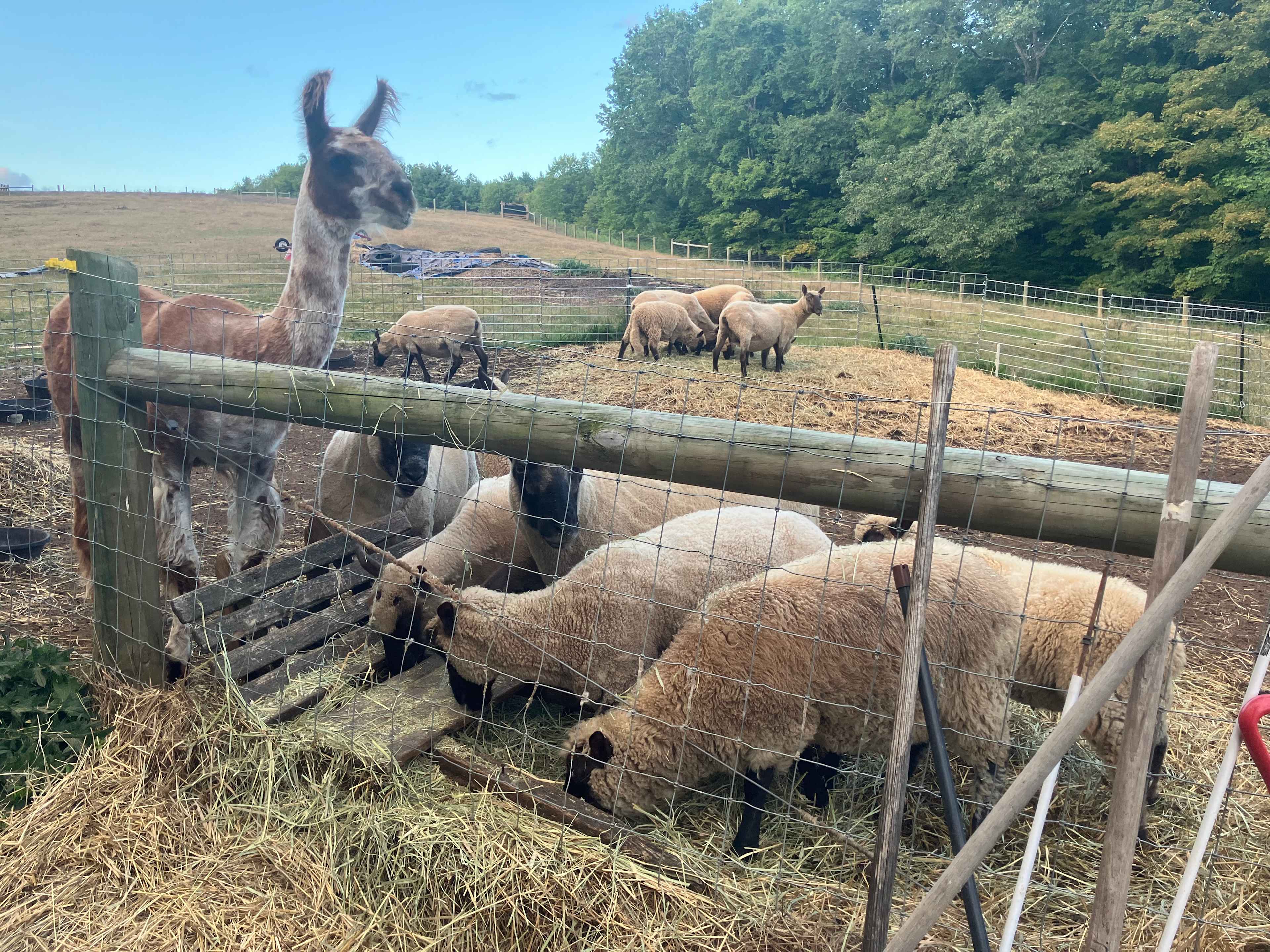 Hengarth Farm Catskill Glamping Inn