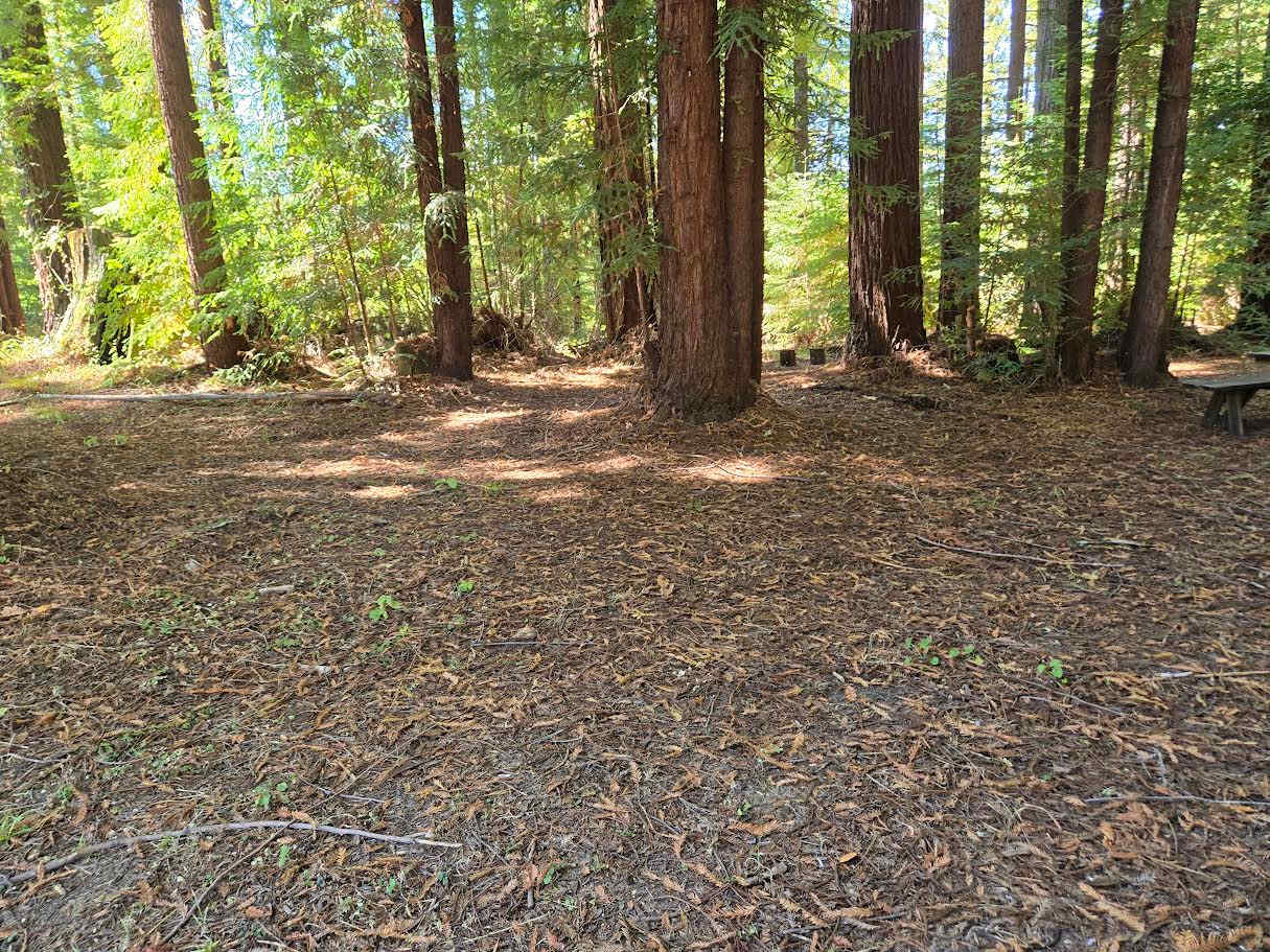 Camp Larabee - Secluded Redwoods