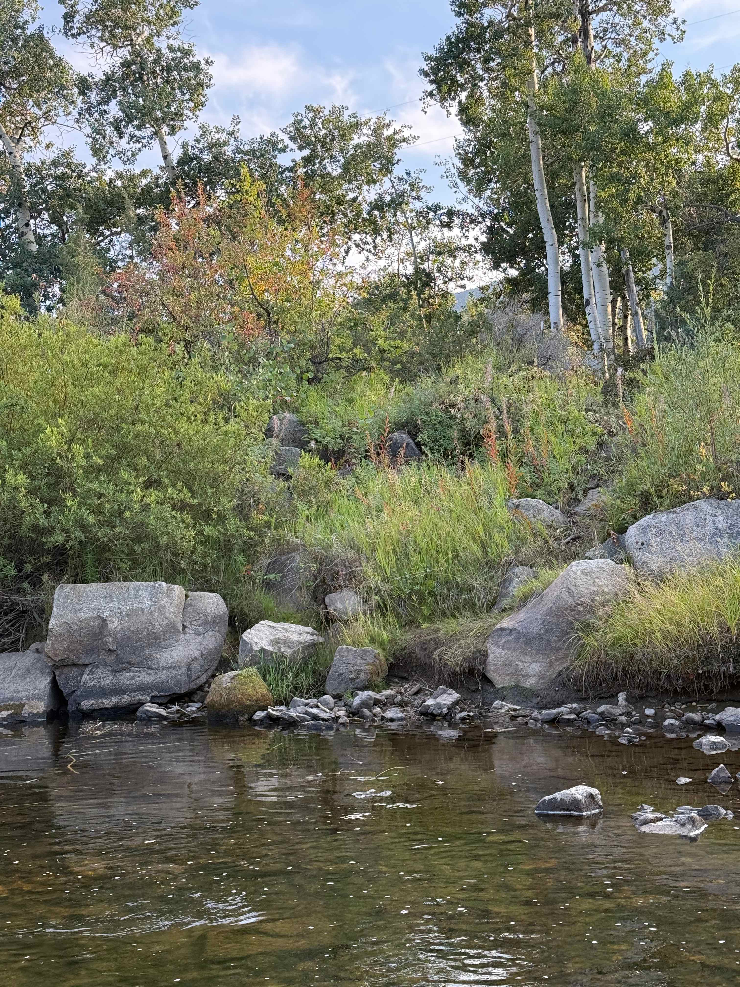 White Bridge Lane Private Campsite