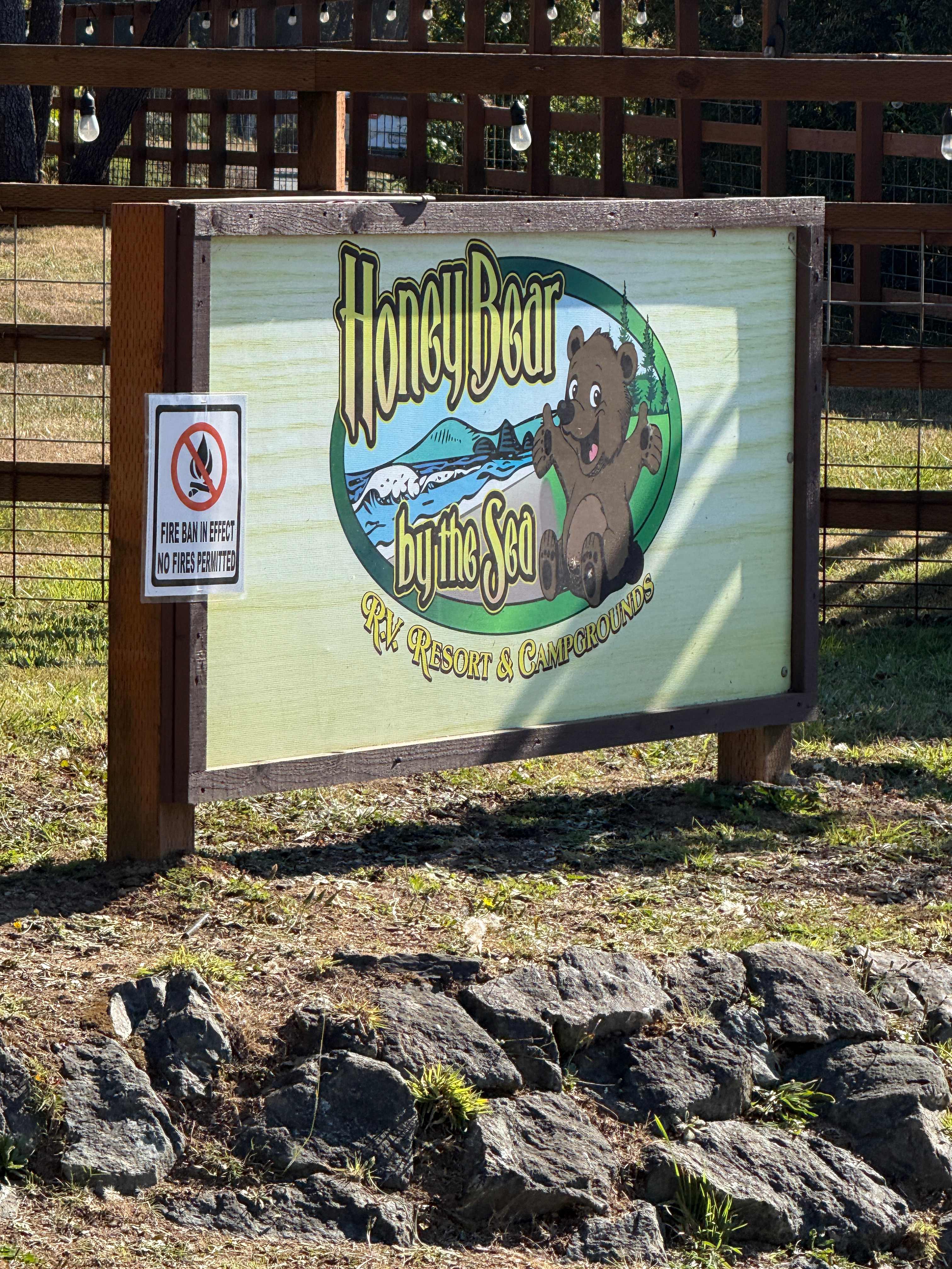 Honey Bear by the Sea