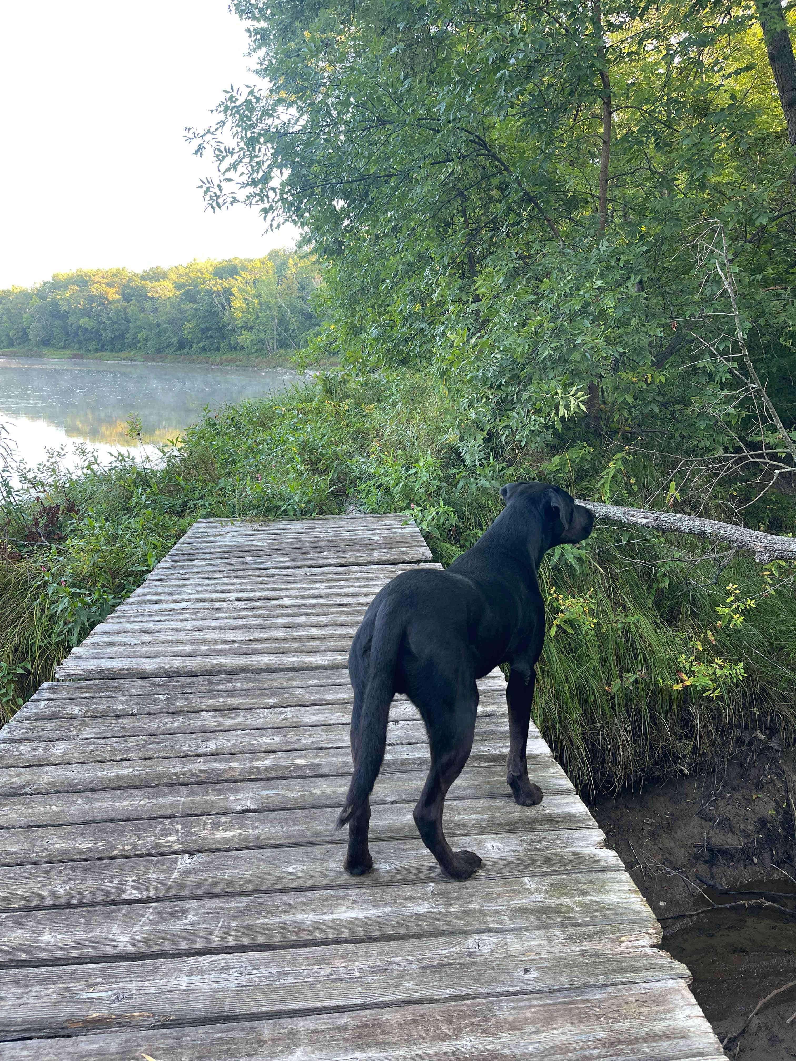 Cuyuna/Mississippi River Land
