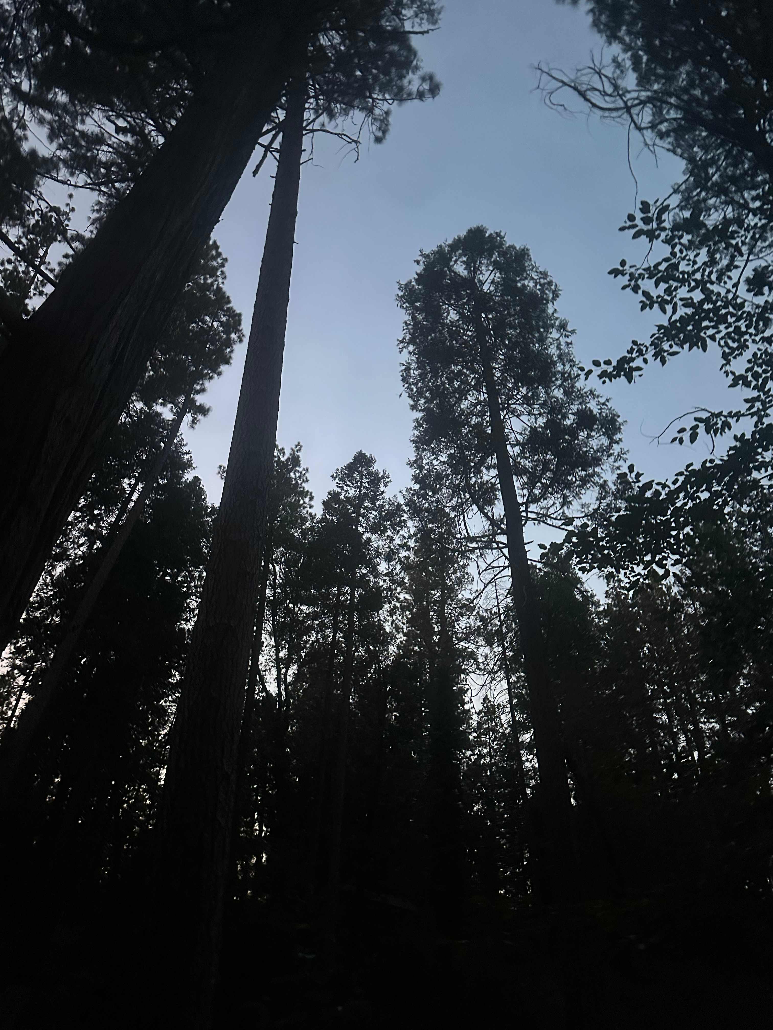 Shangrilog Near Yosemite