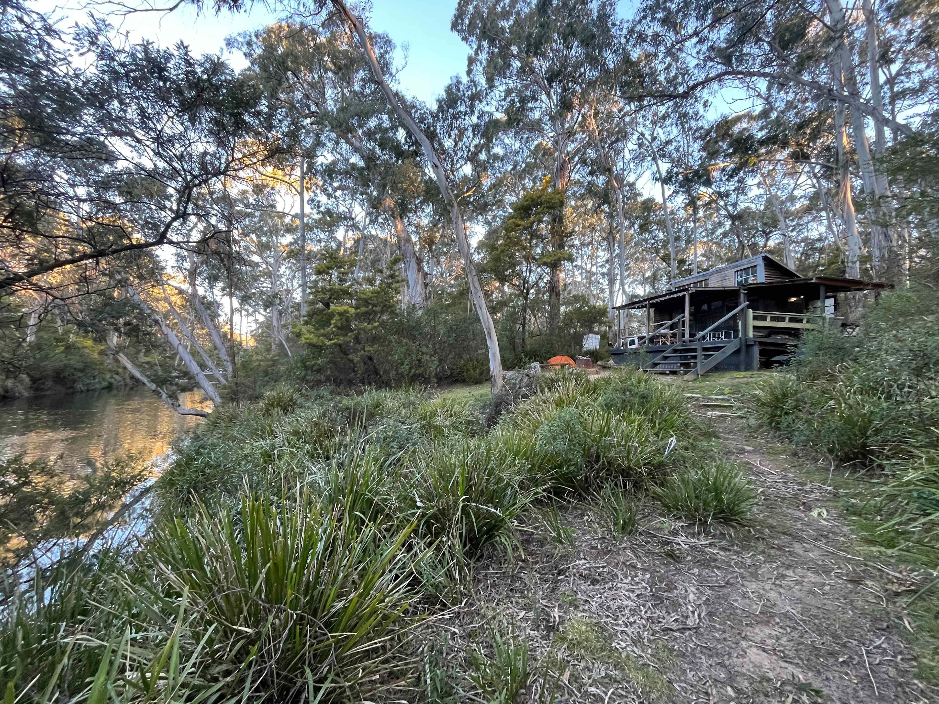 Scribbly Gum secluded bush camping
