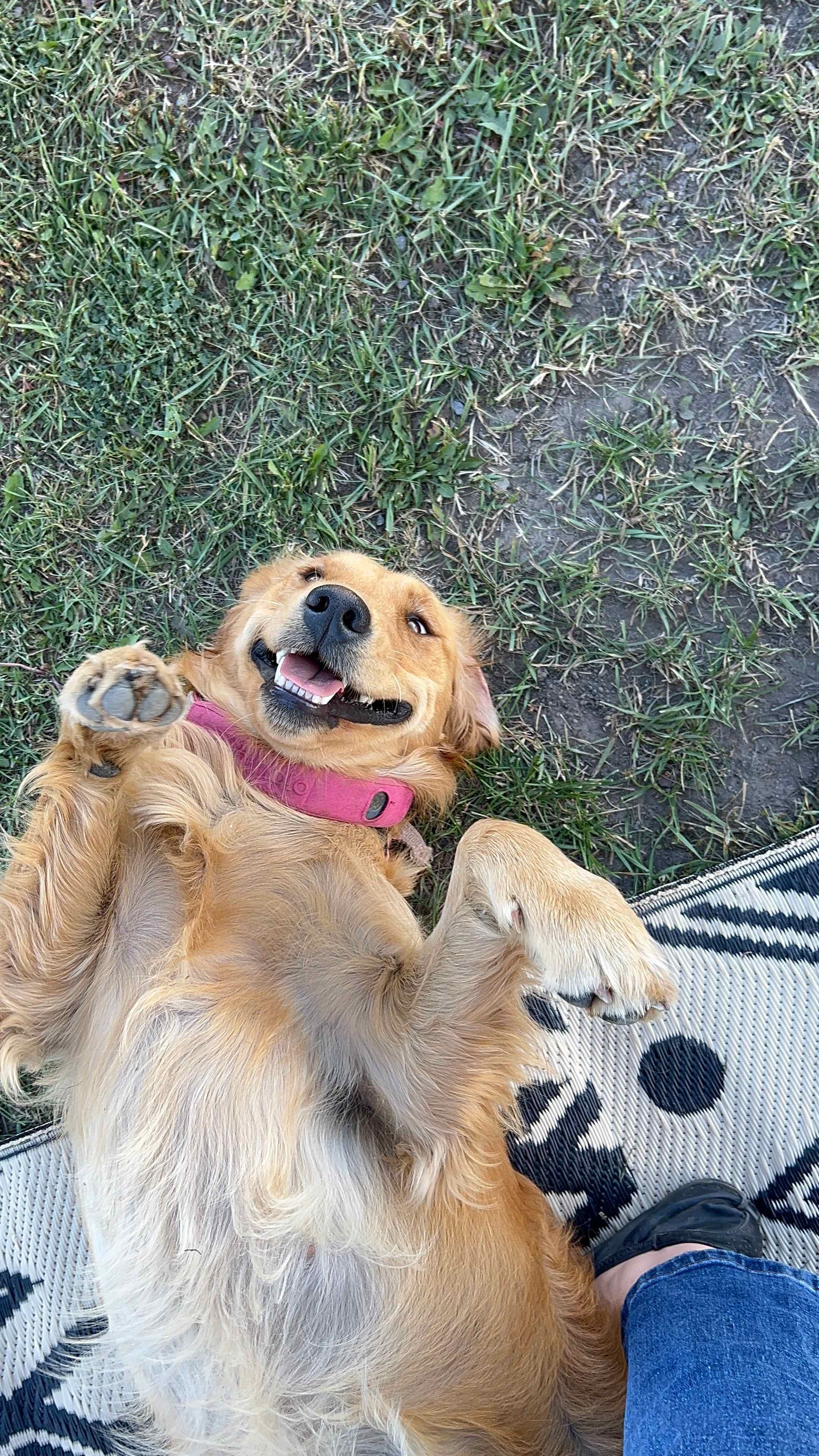 Honeys Place RV Spot