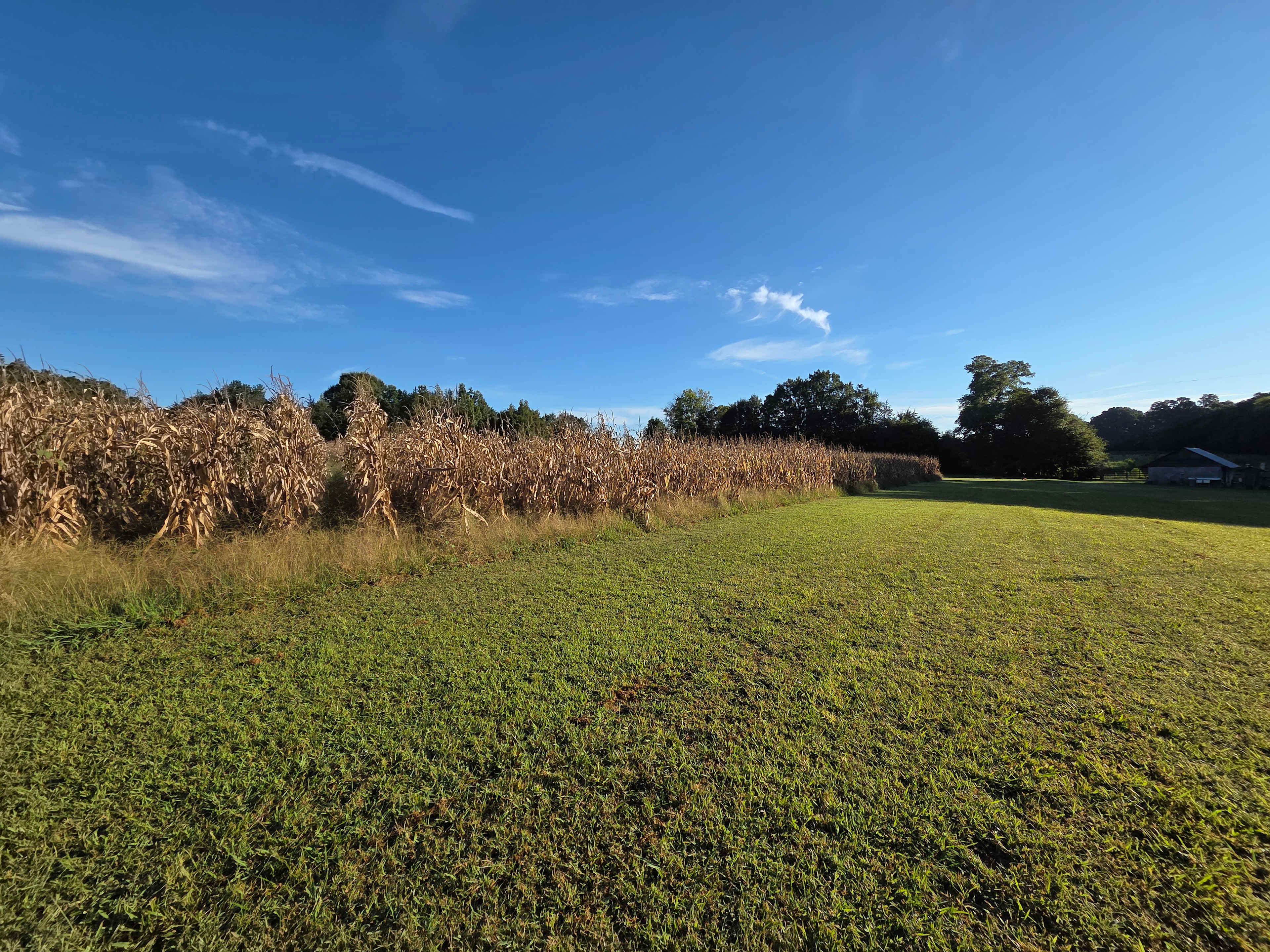 Lucky Farms Under the Stars