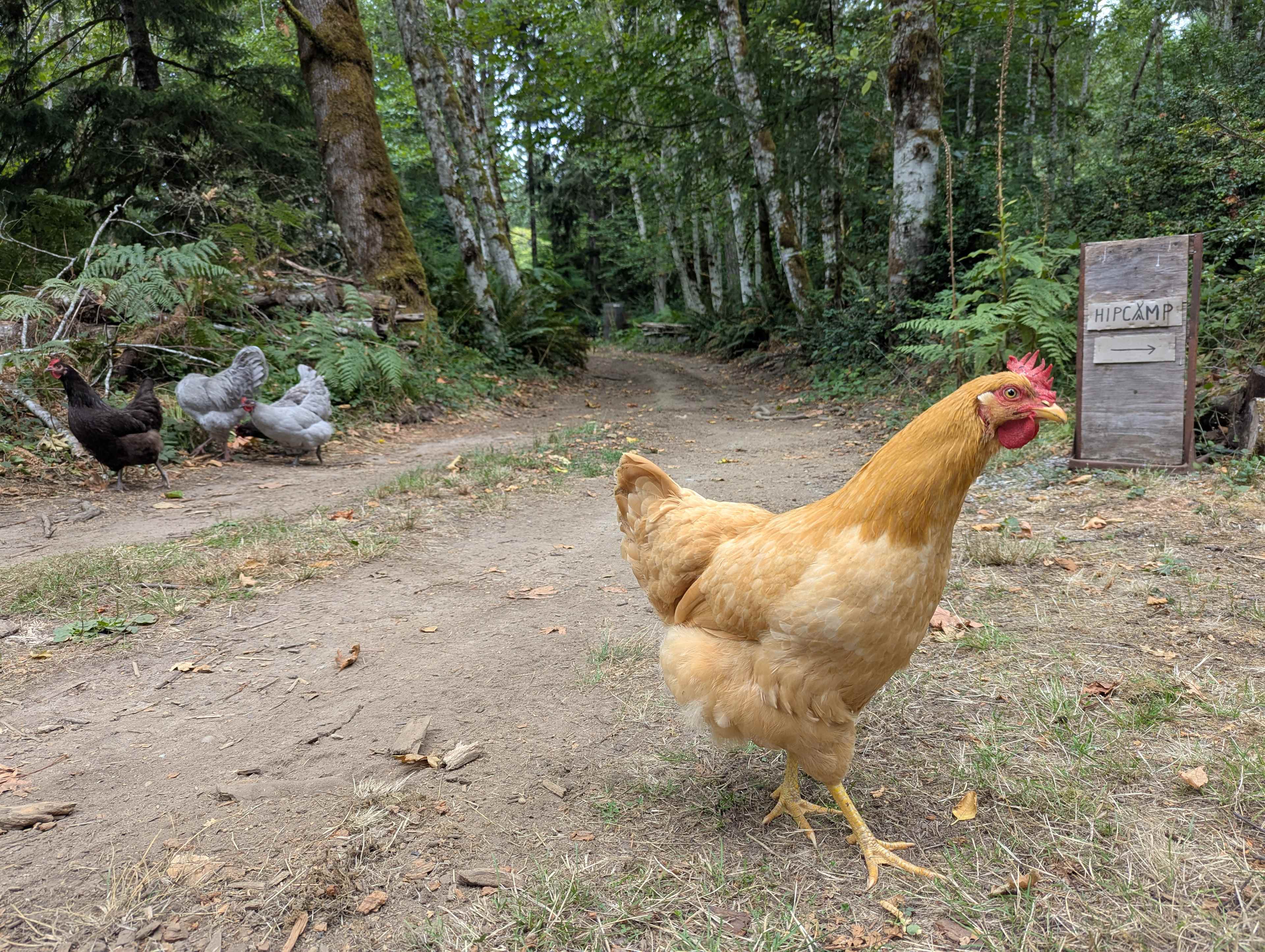 Neighborwood: An Eco Retreat