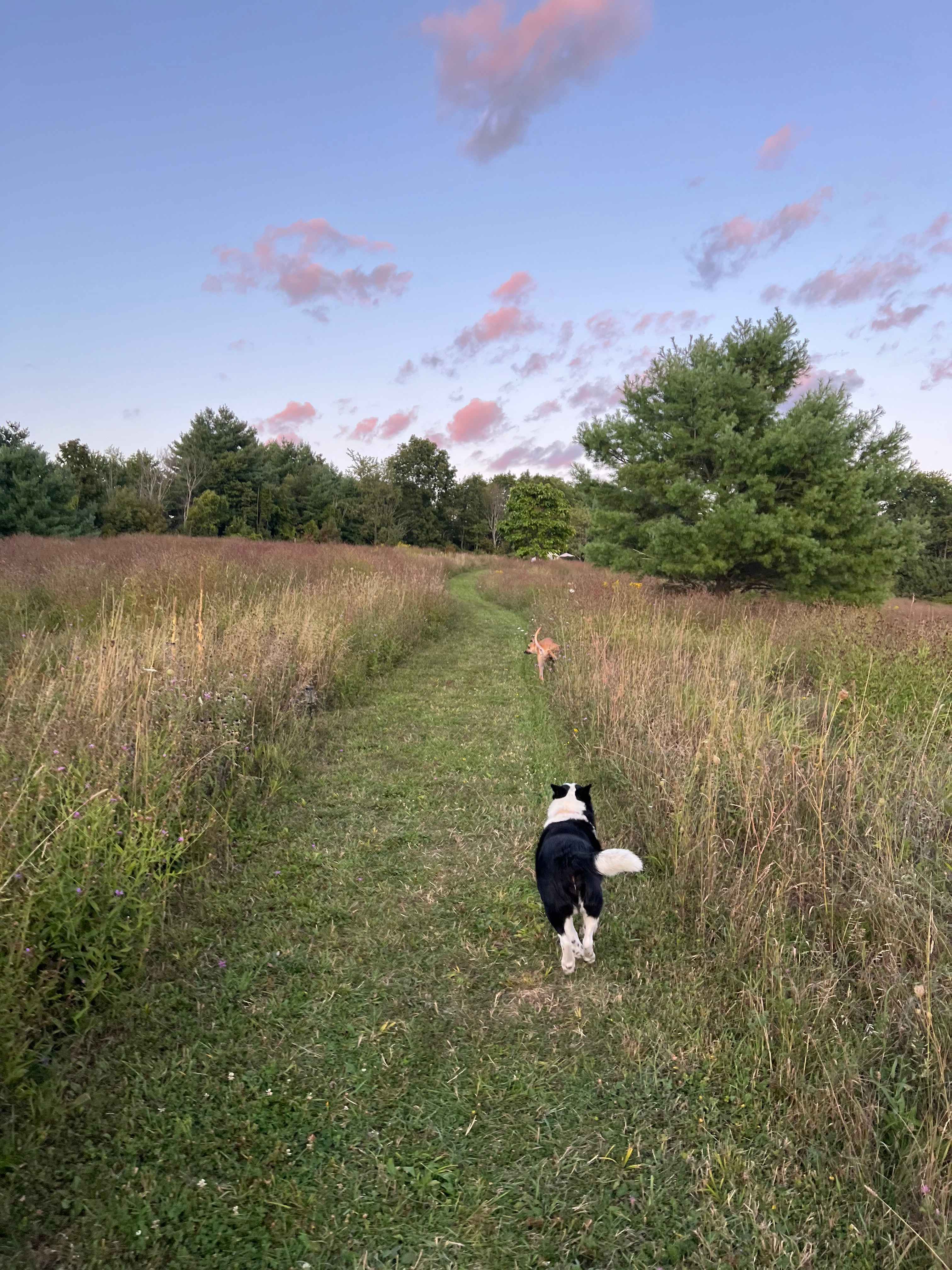 The path from the parking area
