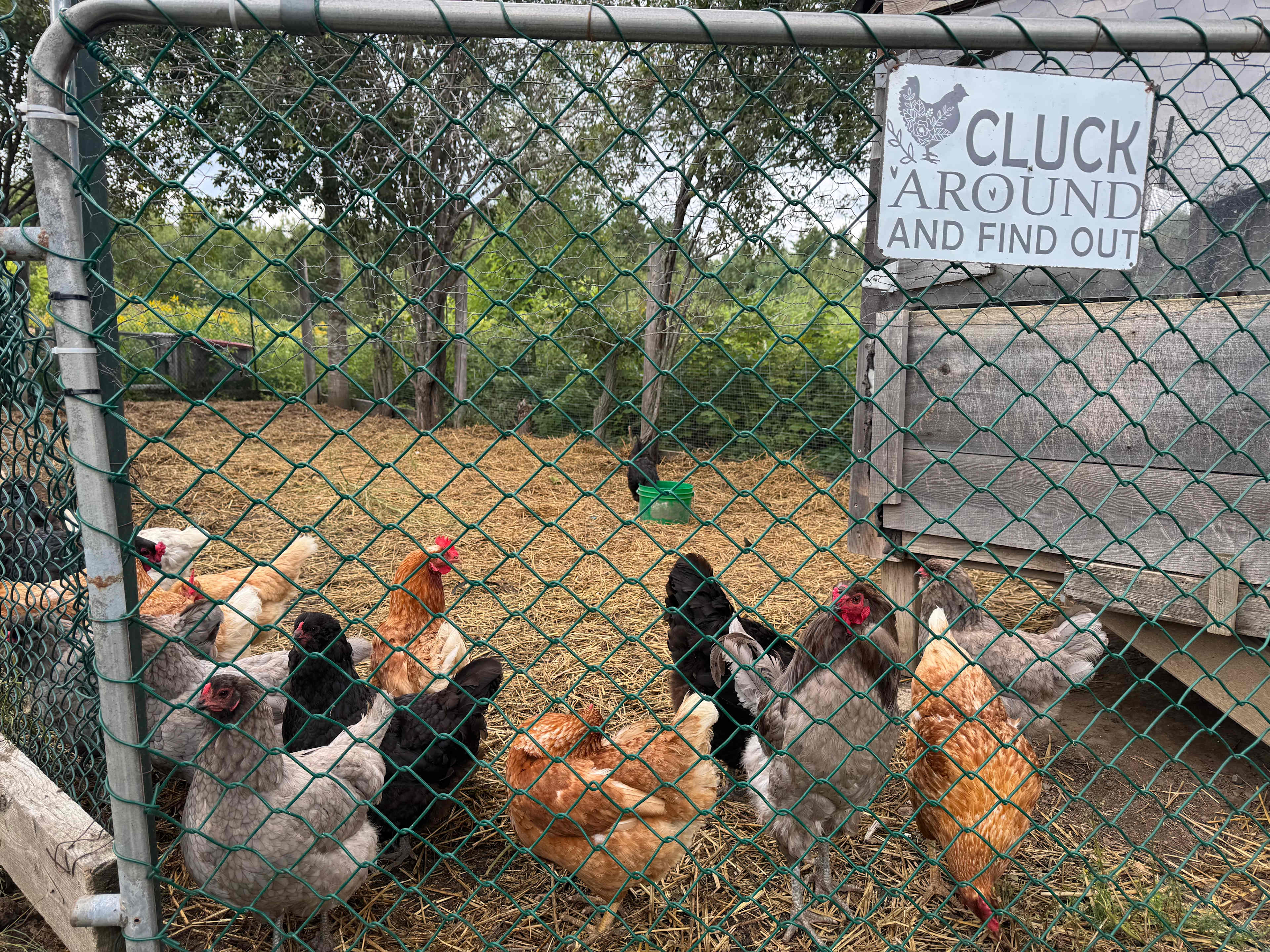 Agape Gardens - Glamping Retreat