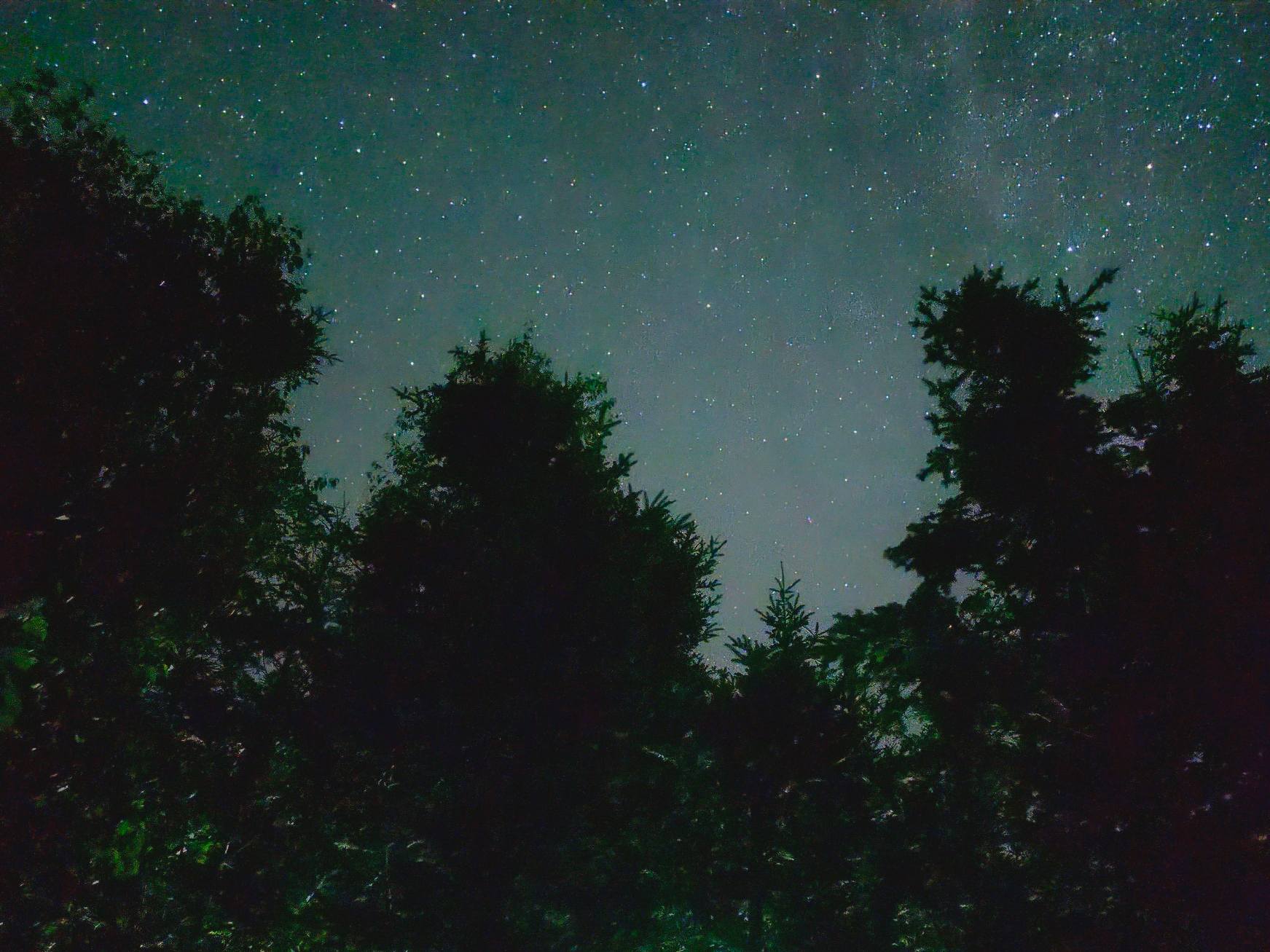 Hillside Gateway to Acadia/Schoodic