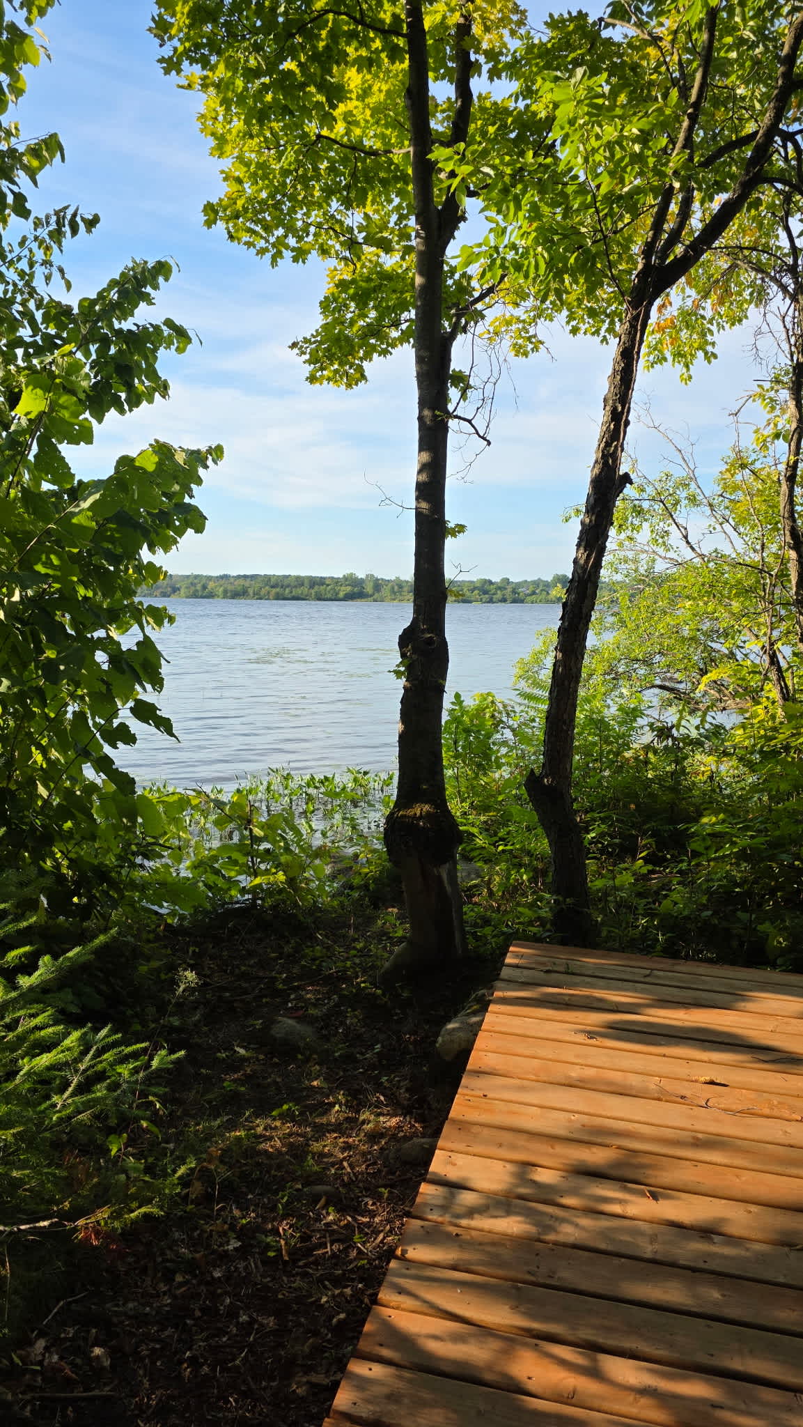 Camp, Ottawa river, Grenville C-O-G