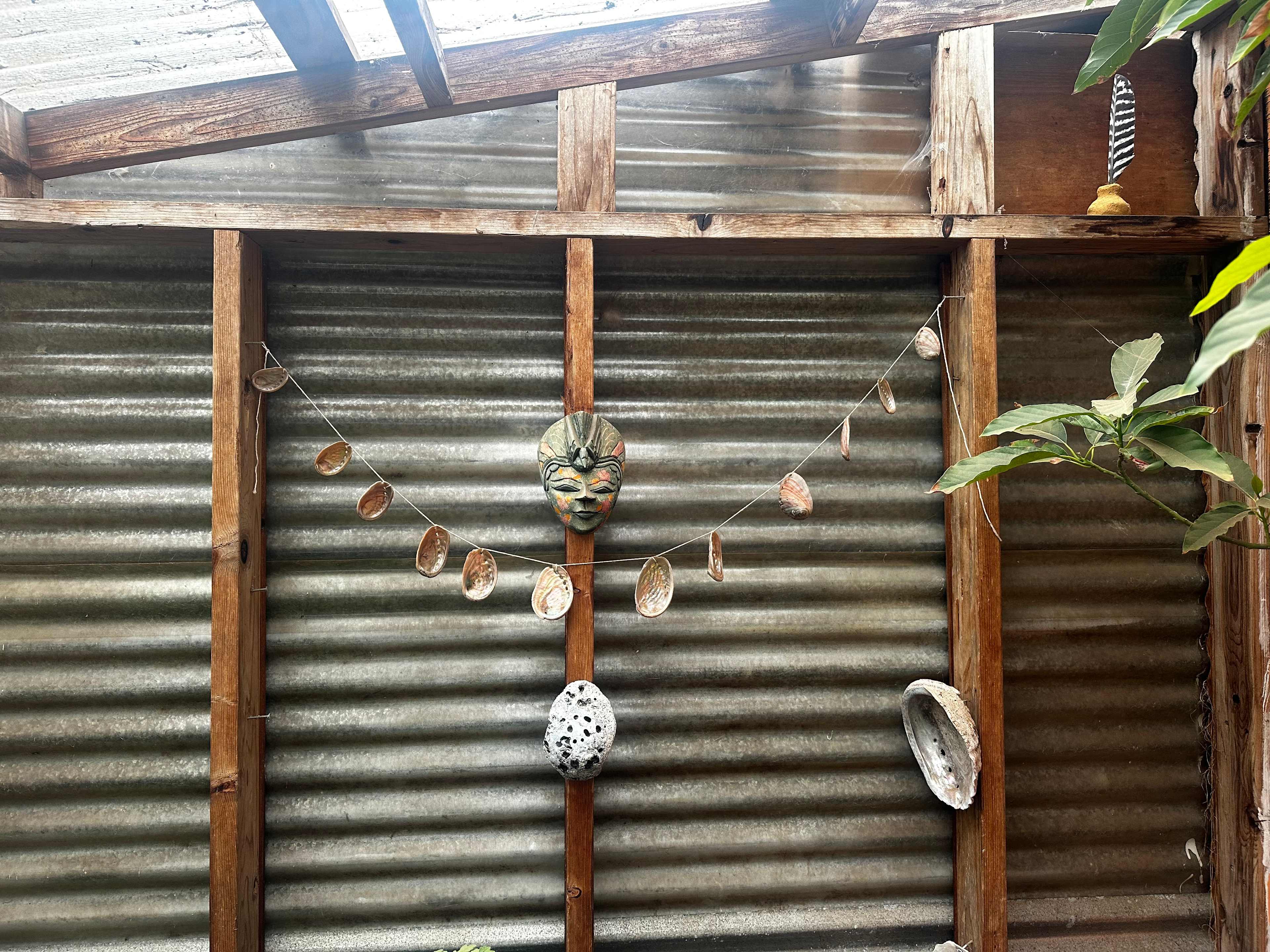 Many Moons Homestead