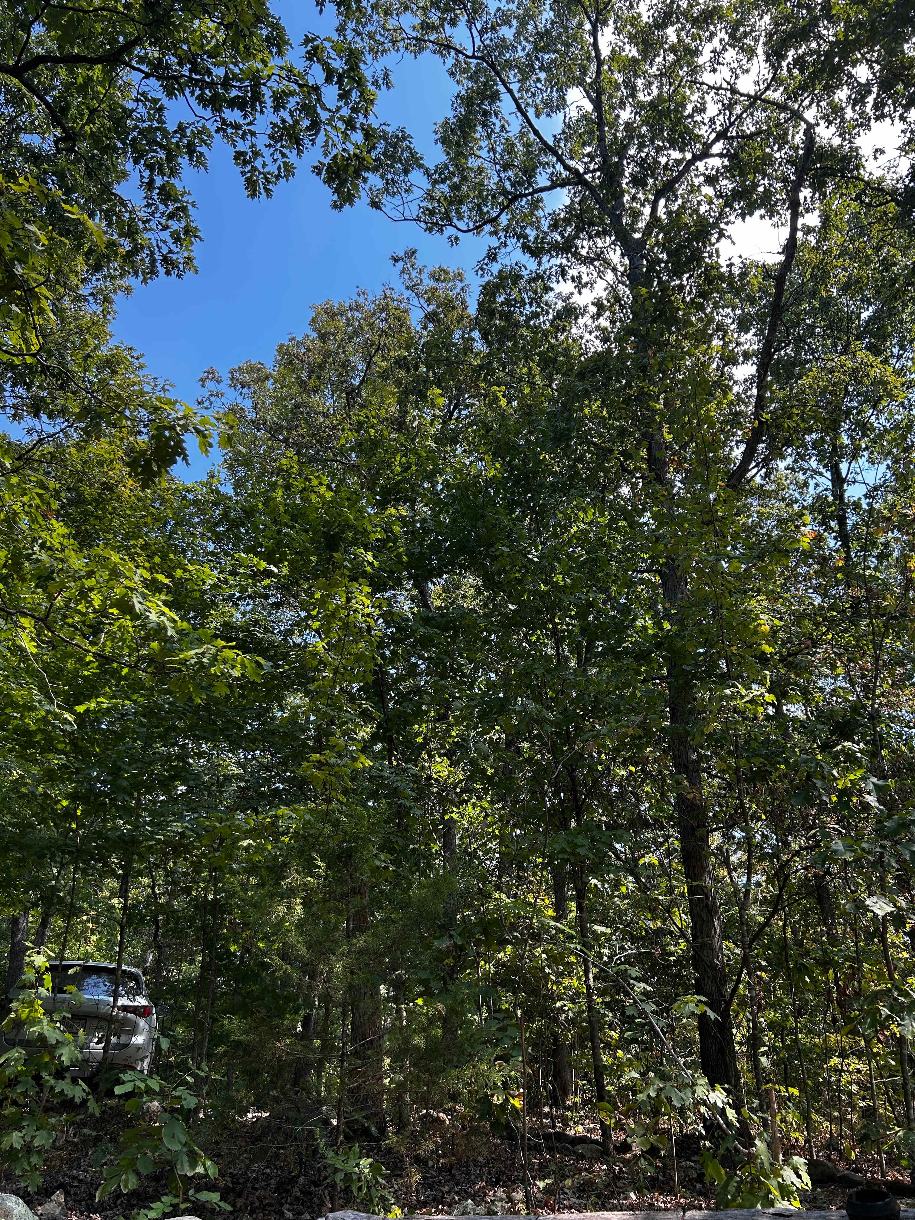 Arcadia Valley Outdoors Land