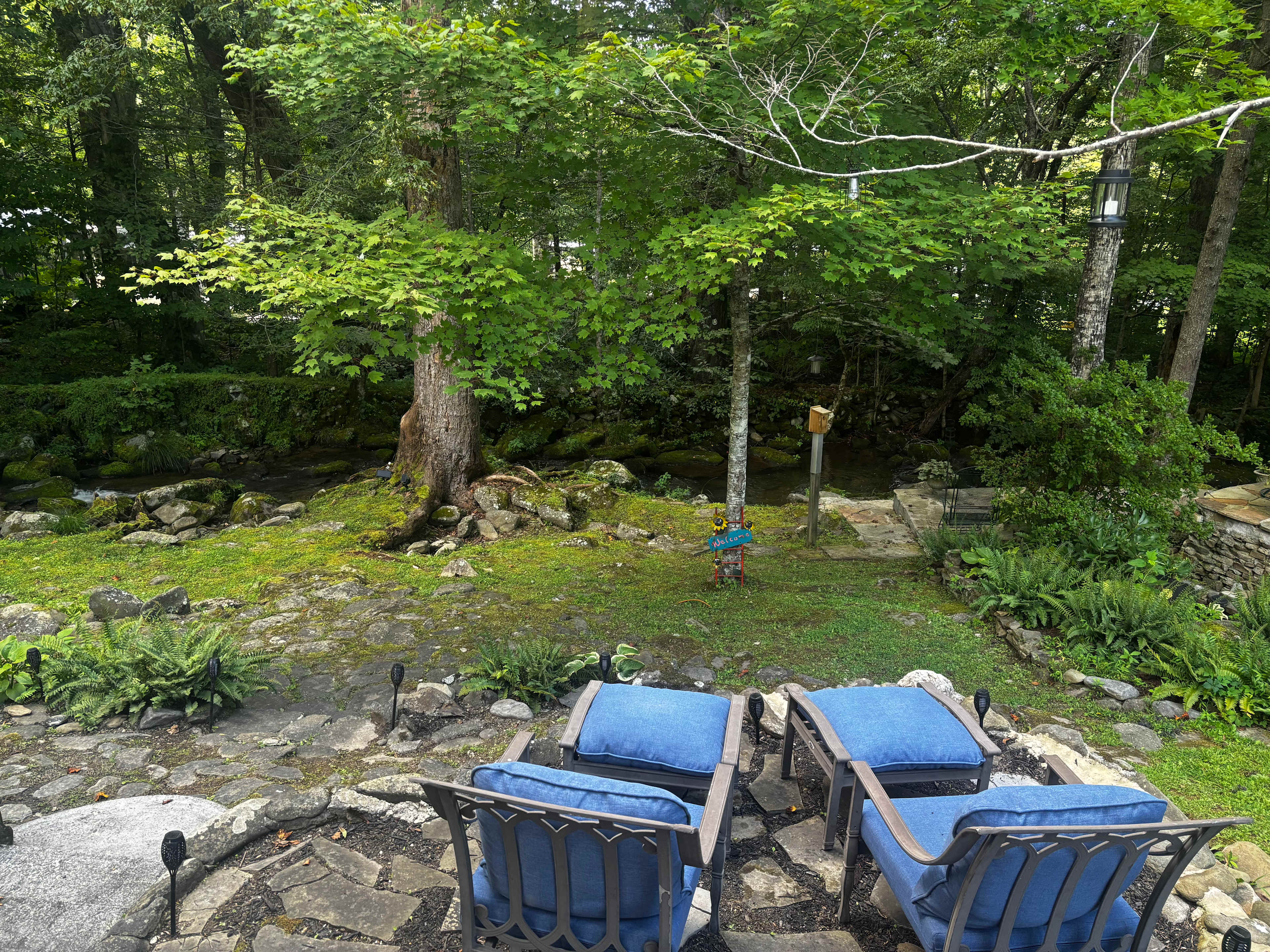 Magical Creekside Escape