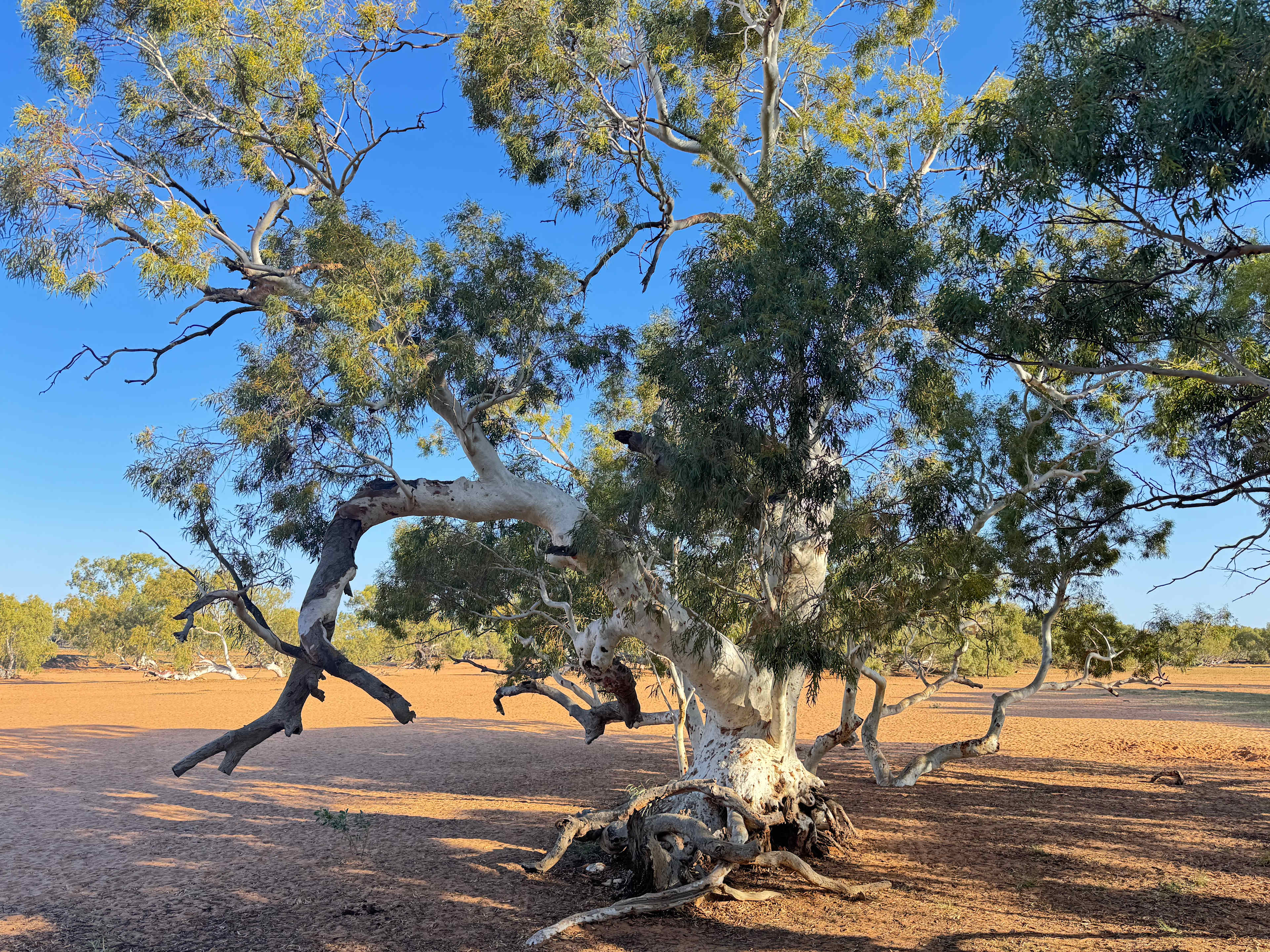 Wooramel River Retreat