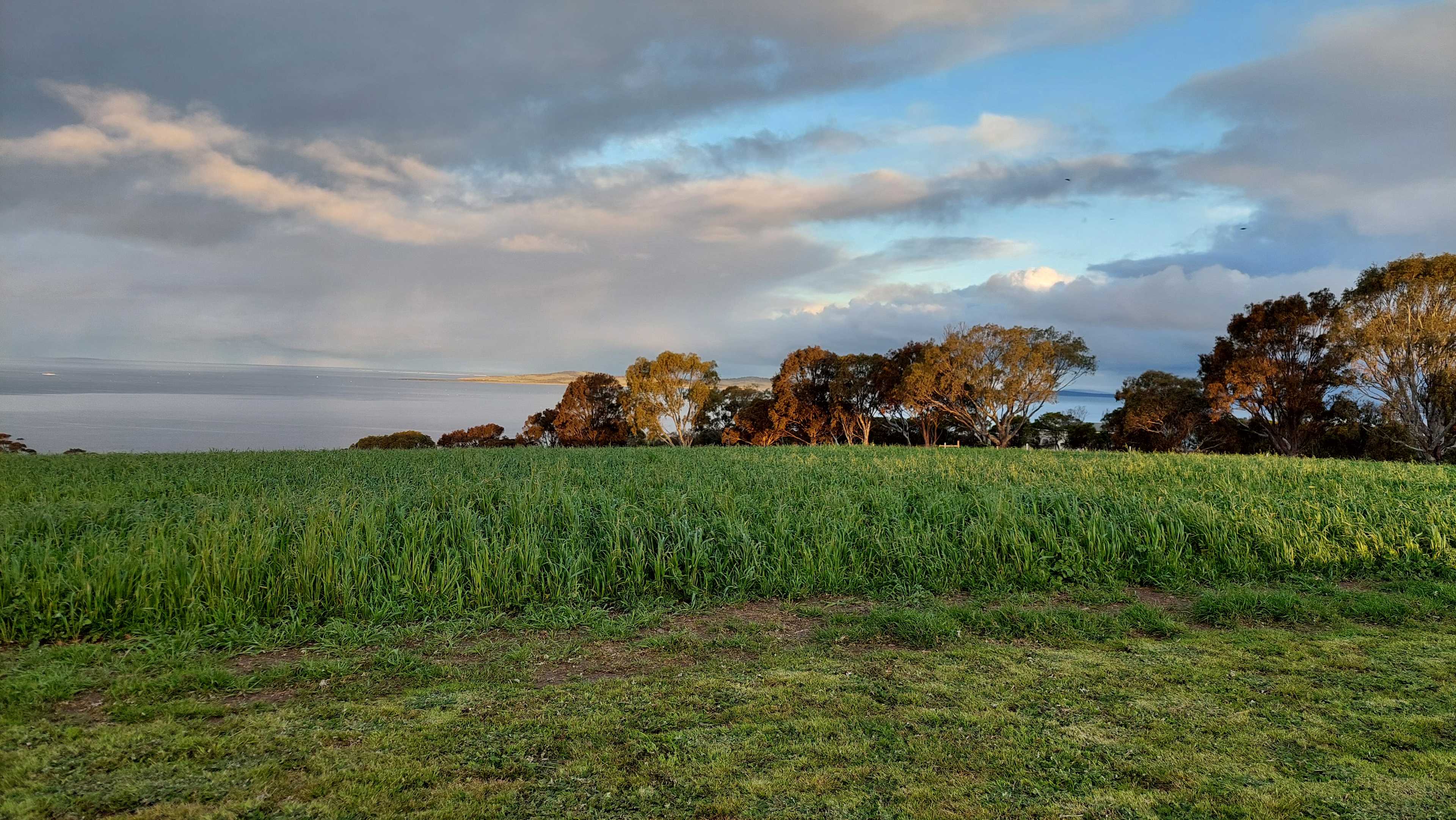Tiatukia Farm Campsite by the Sea
