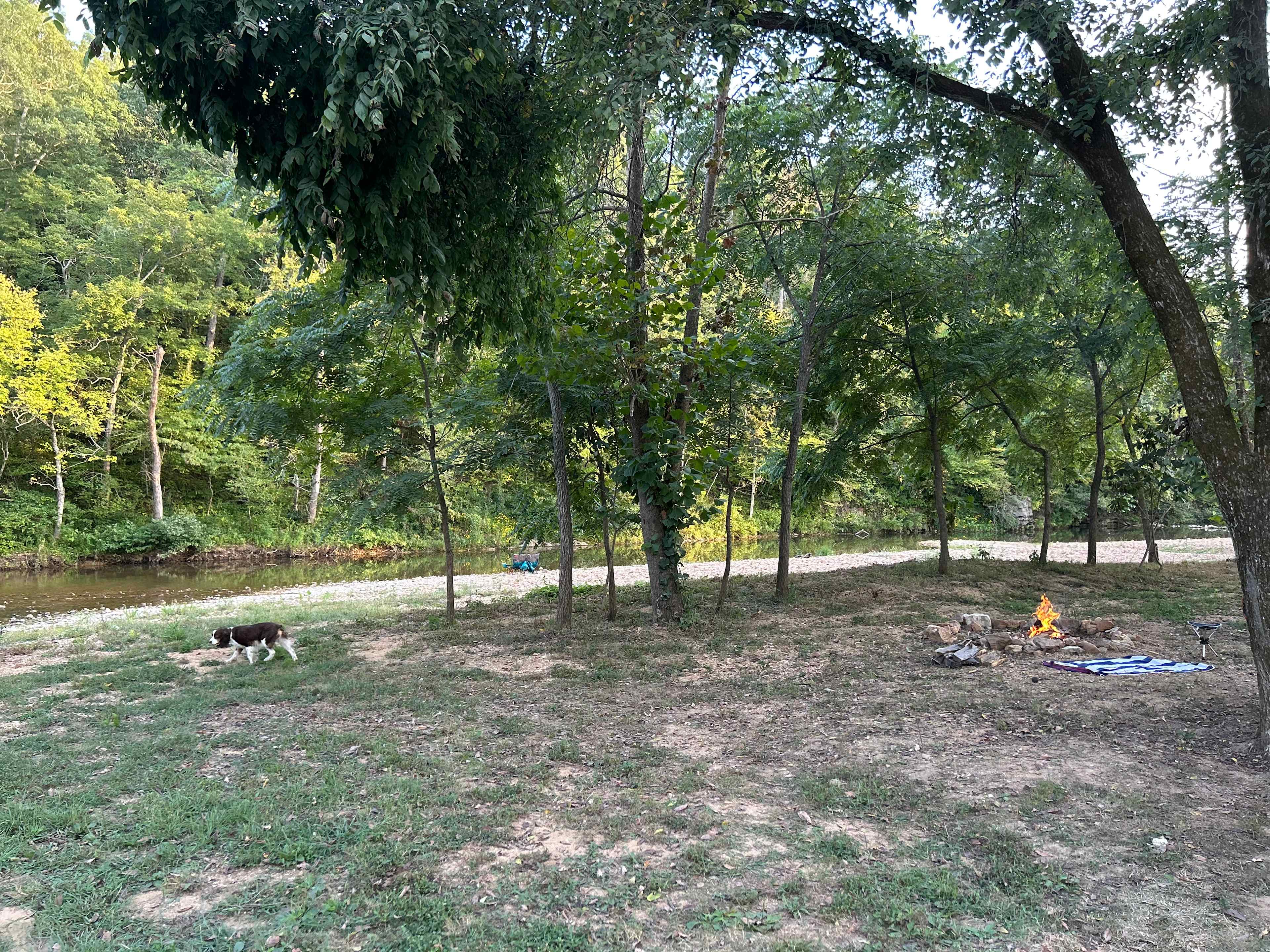 Sycamore Springs Campground