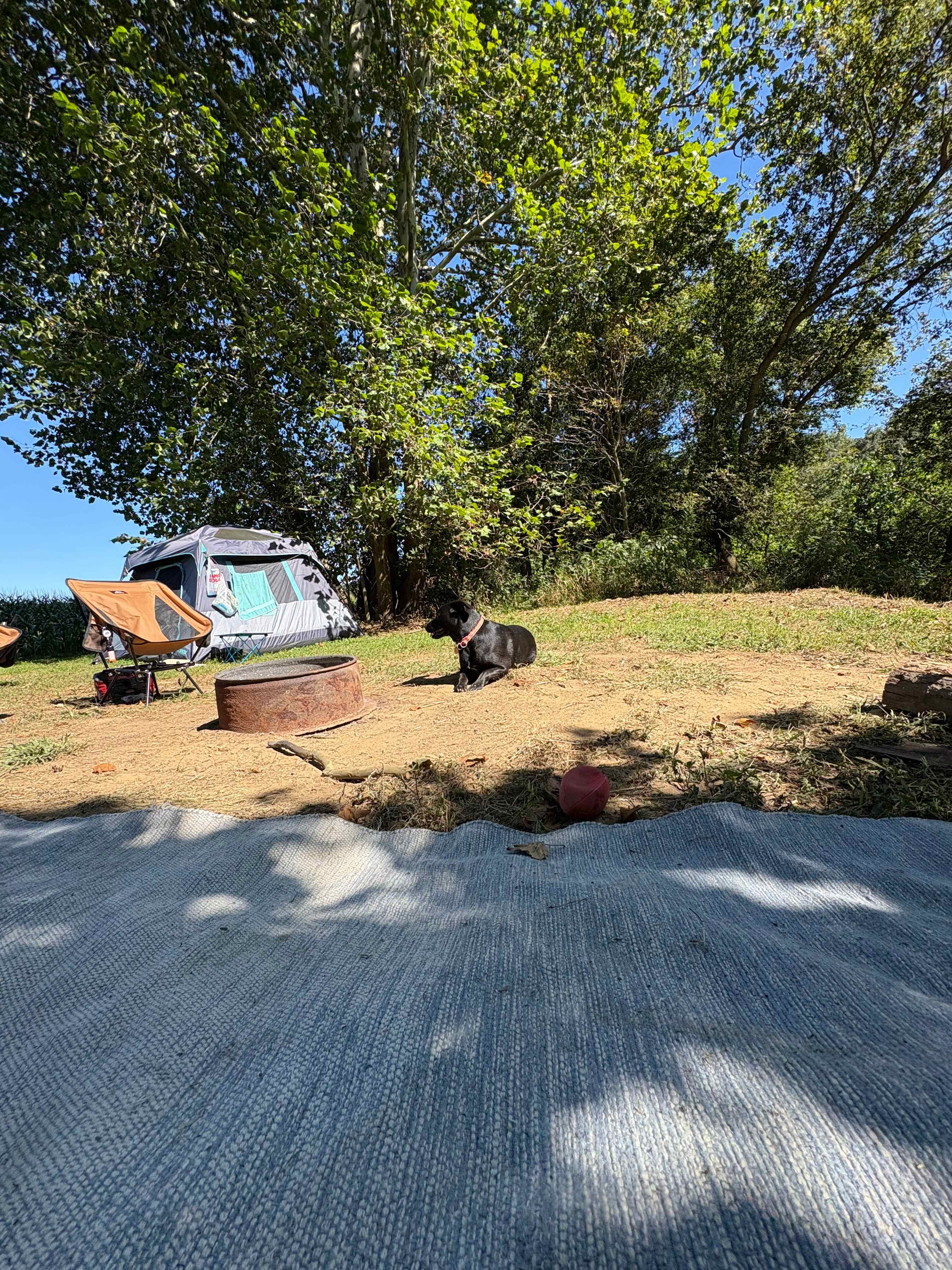 Oaklawn Land & Livestock LLC