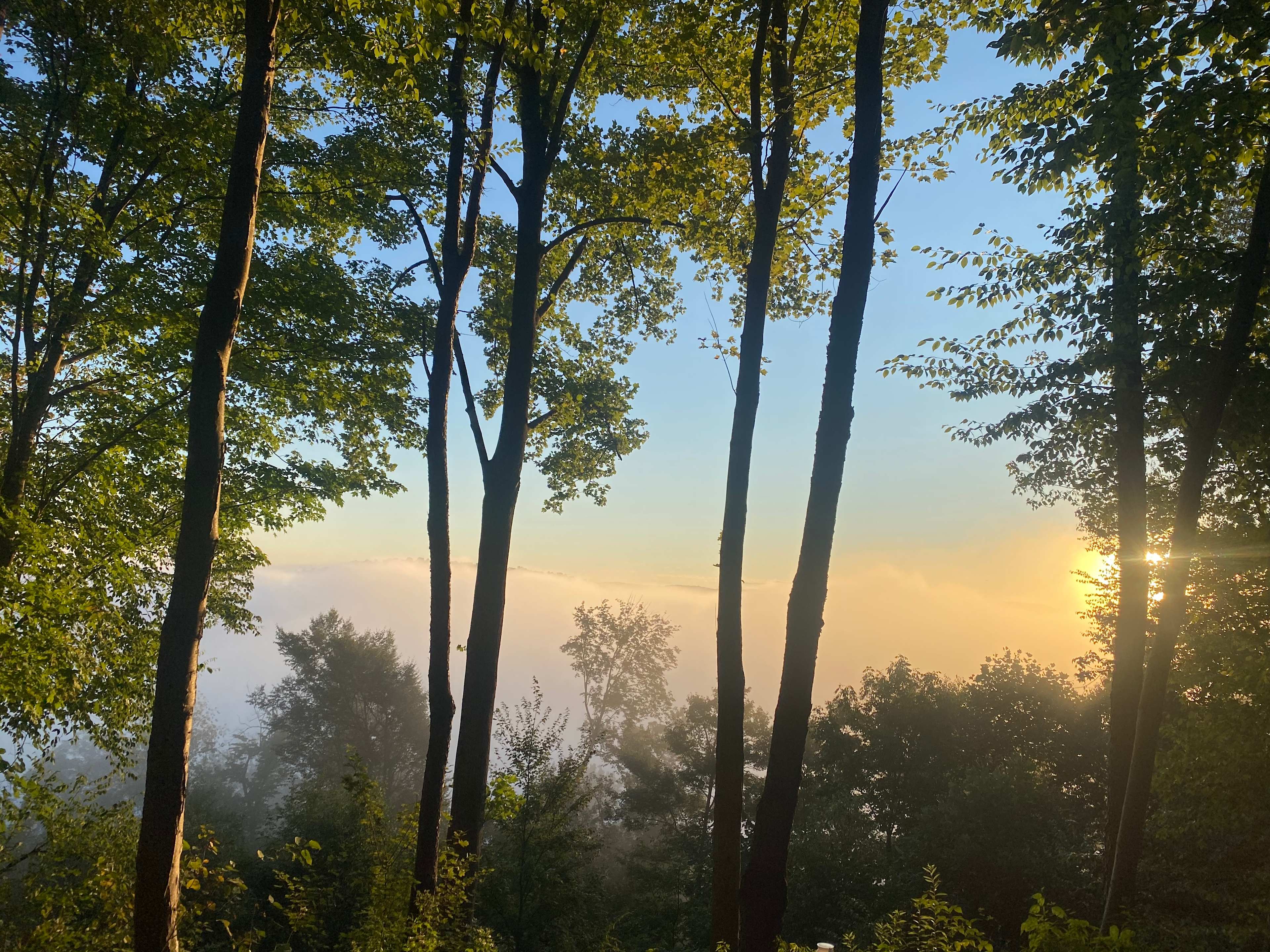River Hills Above the Allegheny