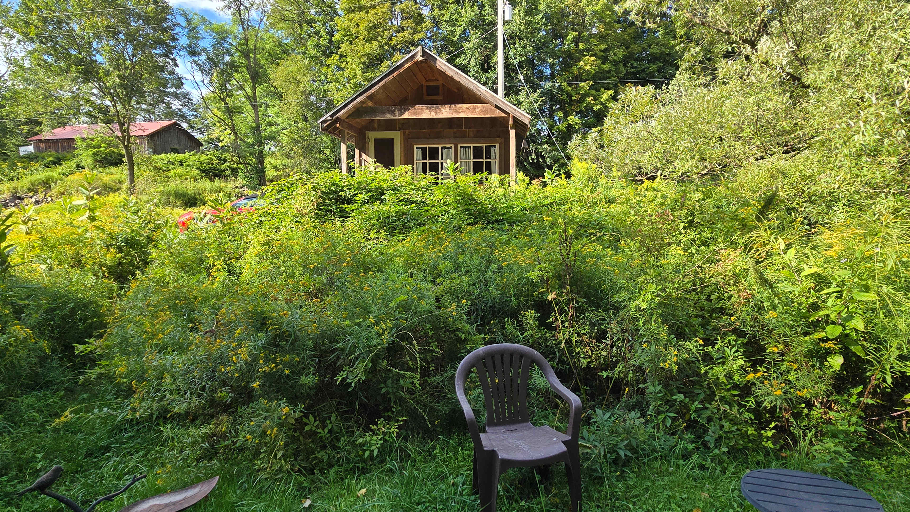 Cabin from the firepit