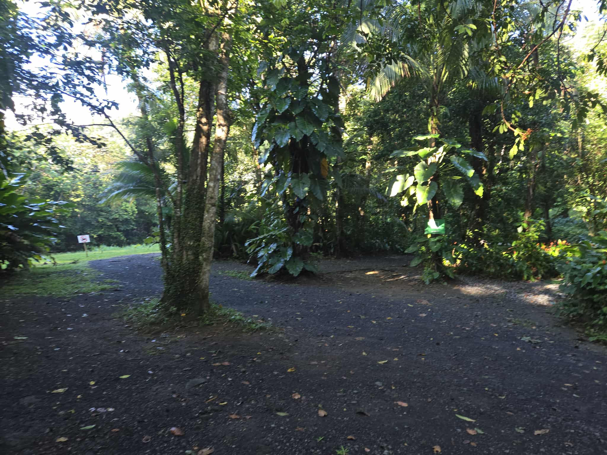 Hacienda Monte Rey near El Yunque