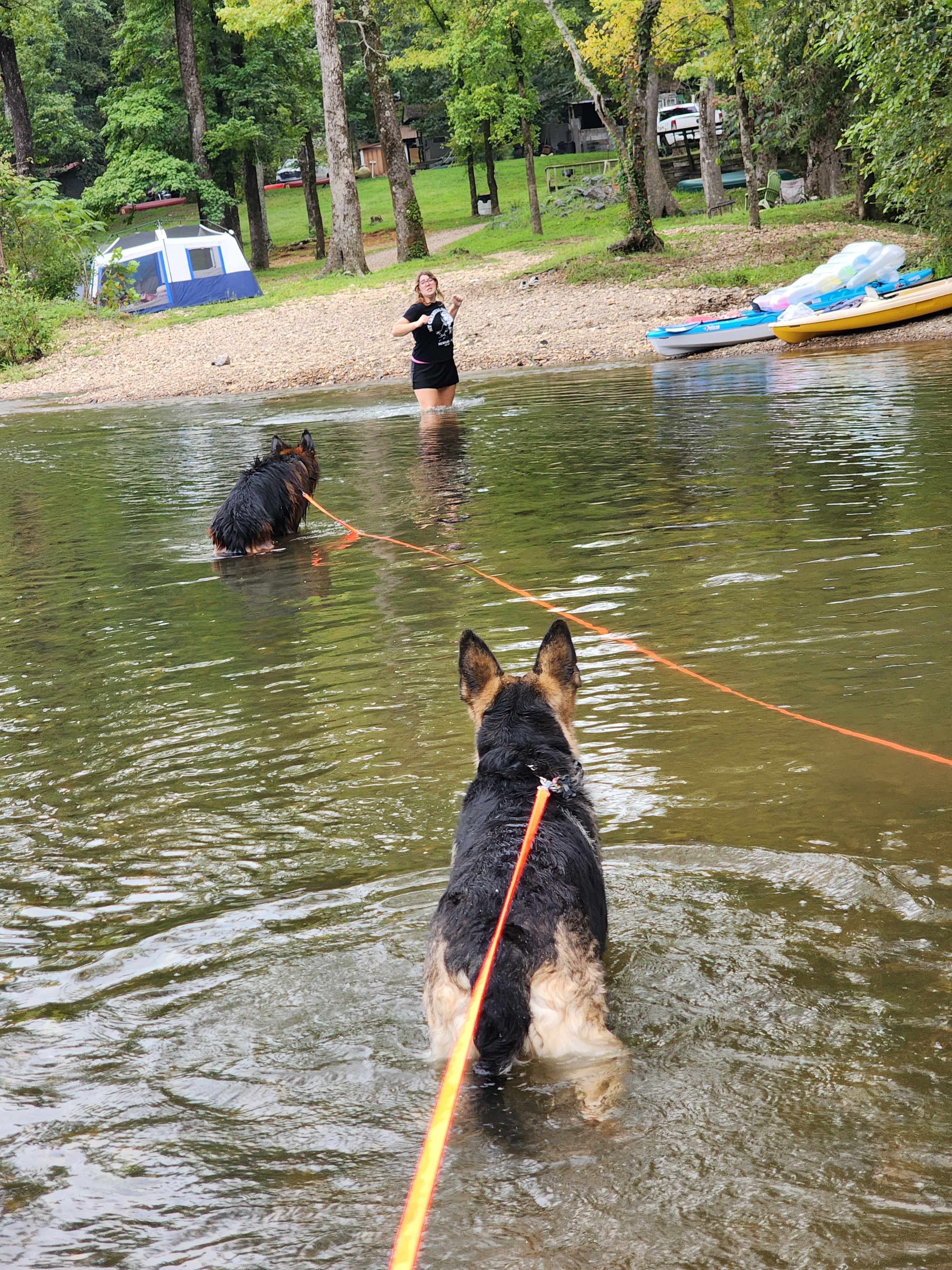 Caddo River Camp: Tent, RV, Cabins