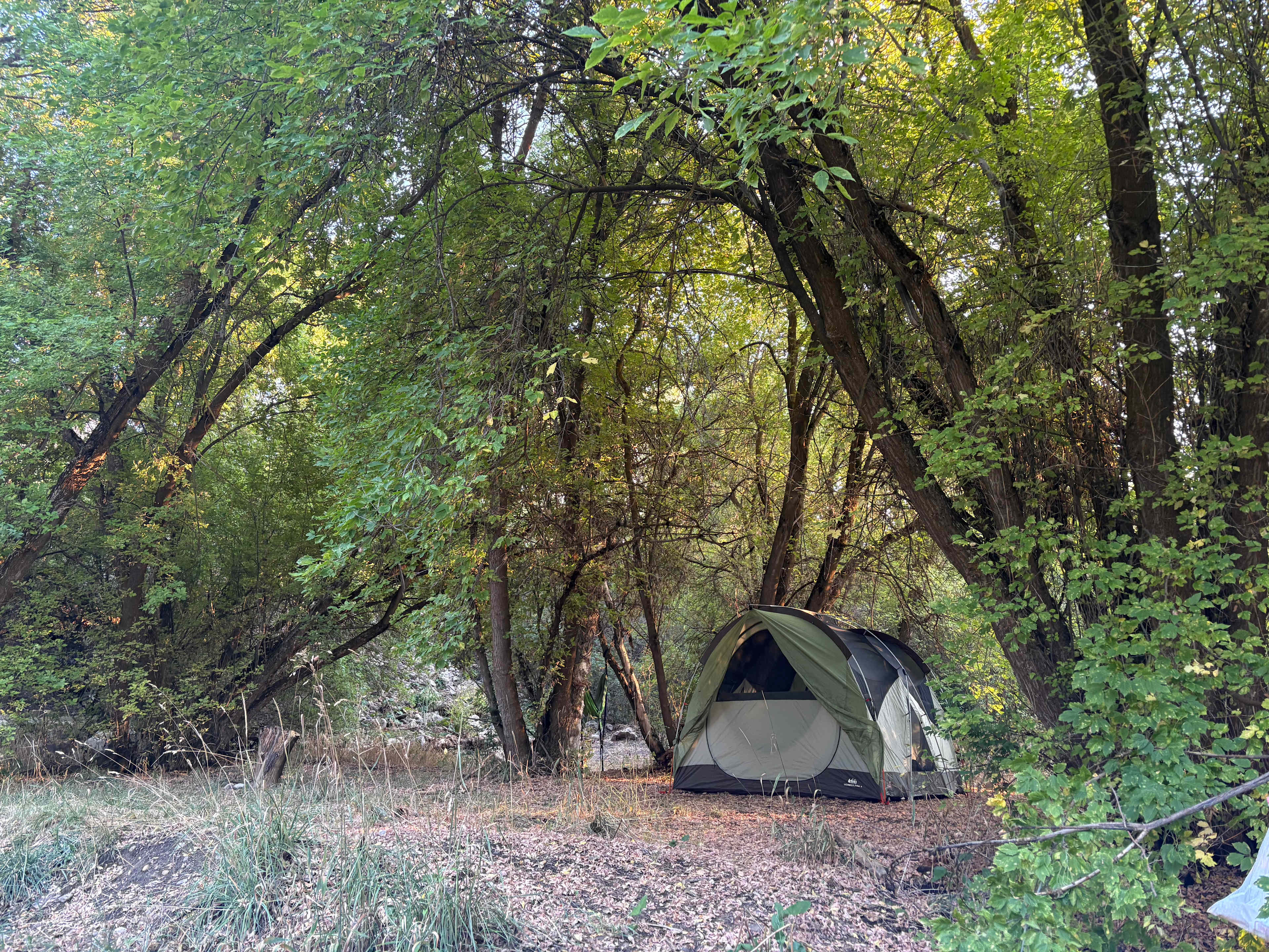 Secluded Maple Creek River bottoms