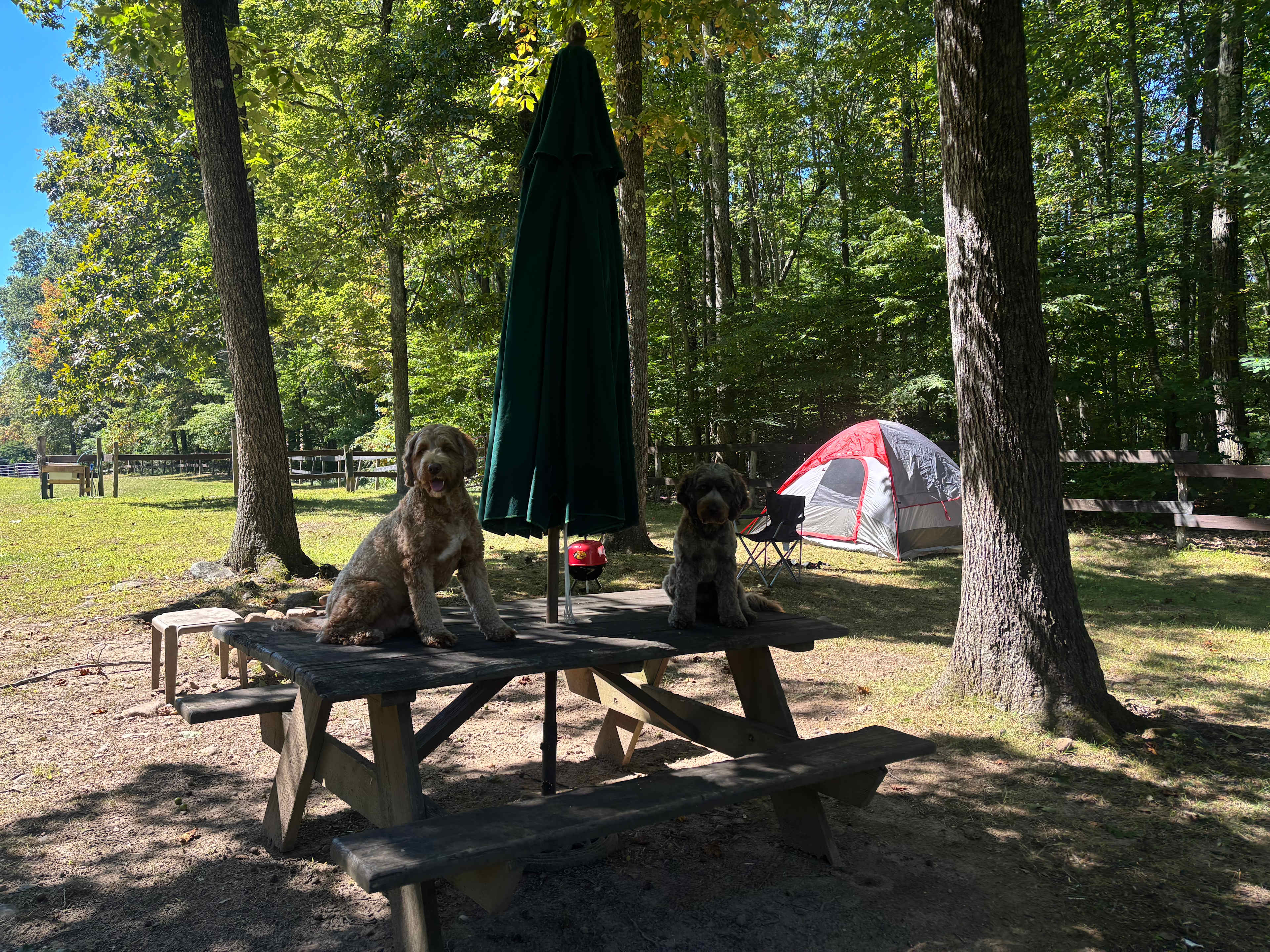 Humble Farm with Simplicity