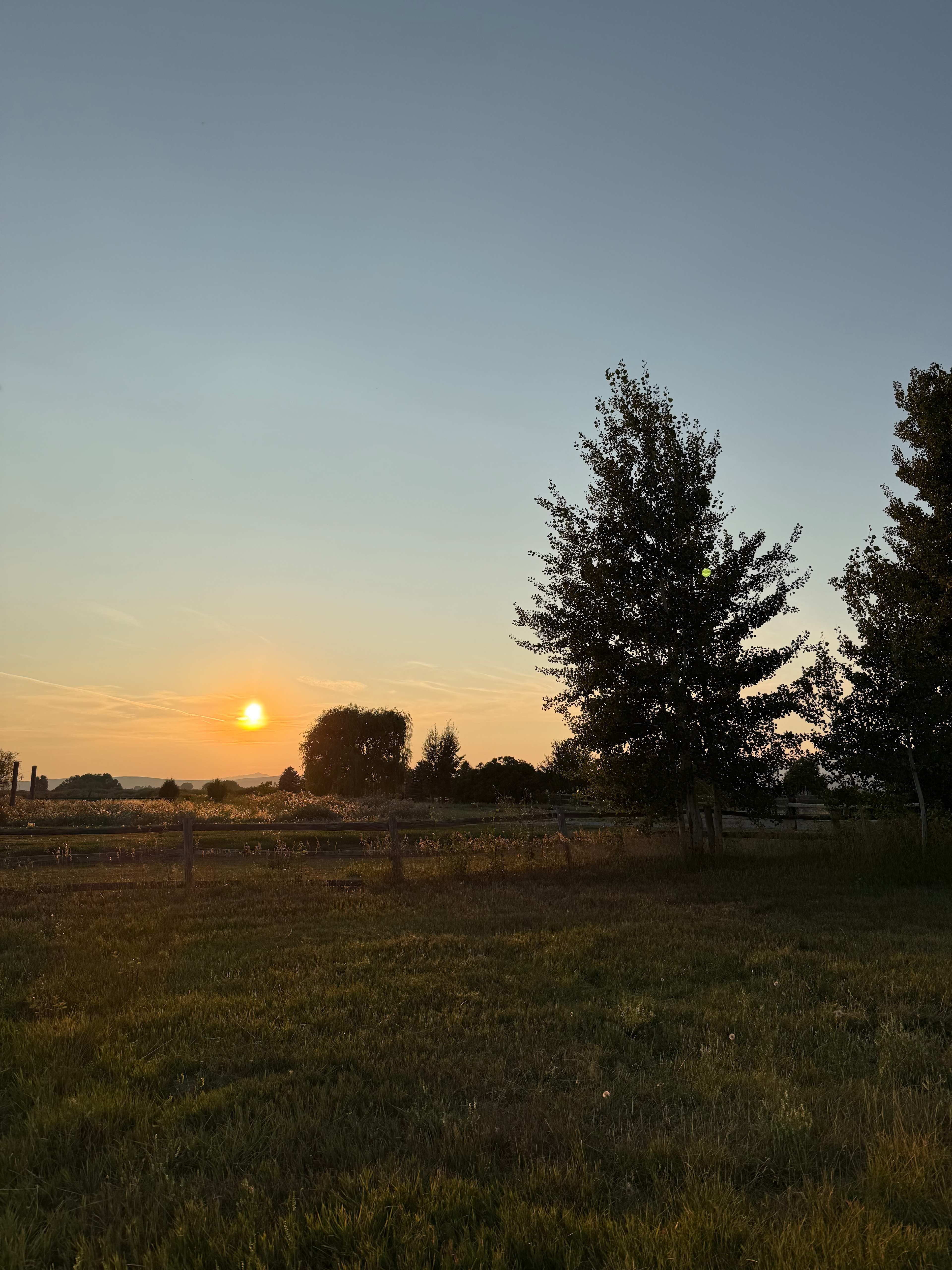 Kraay's Market & Garden