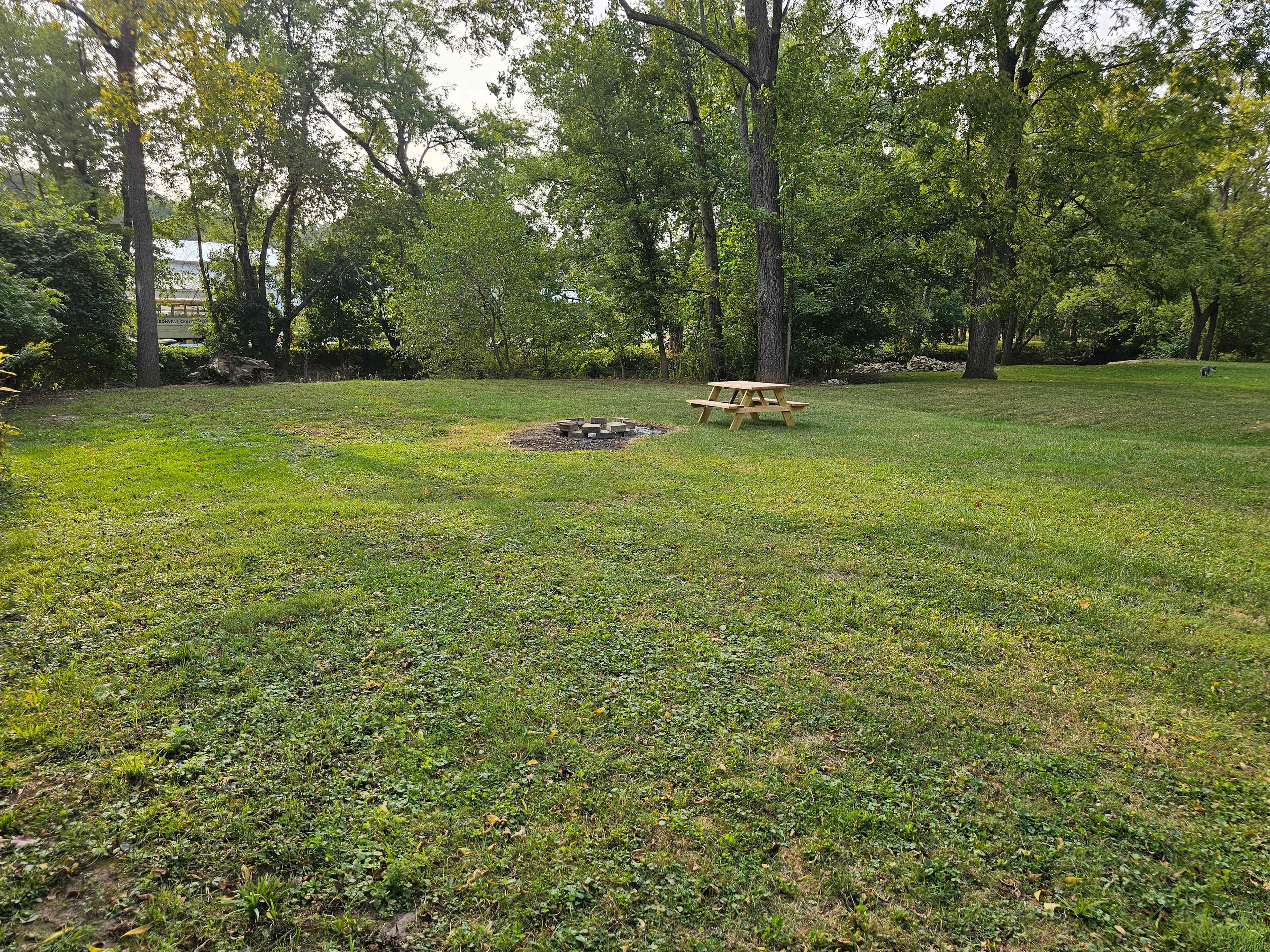 Picture of the site