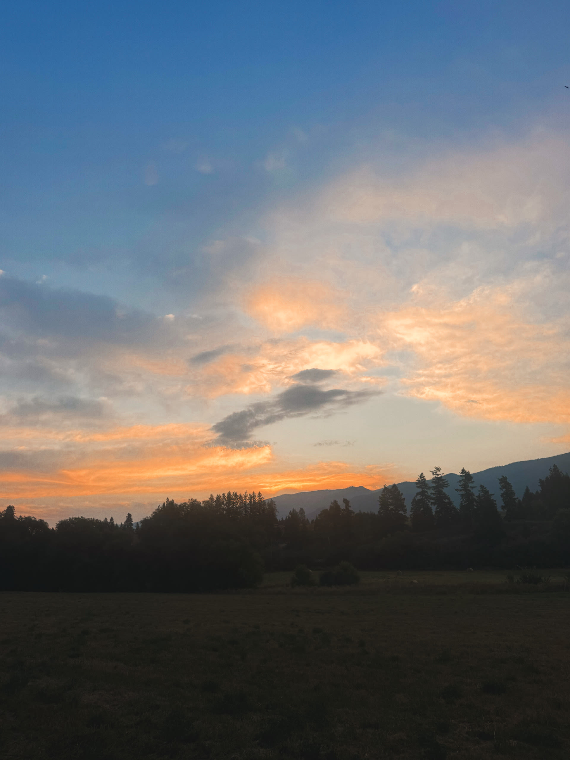 Village Hub Farm Forest Camping