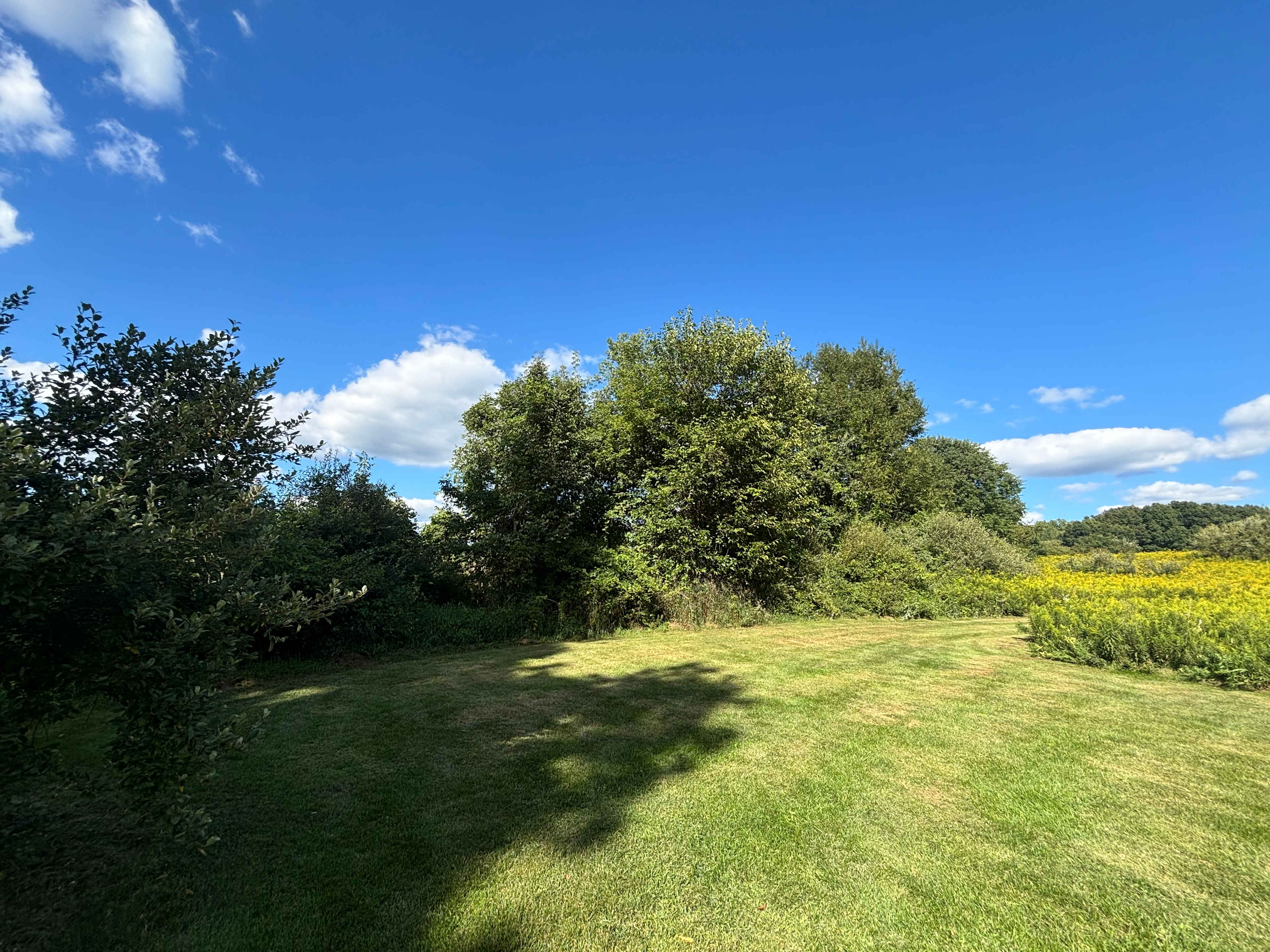 Tom and Julie's Place