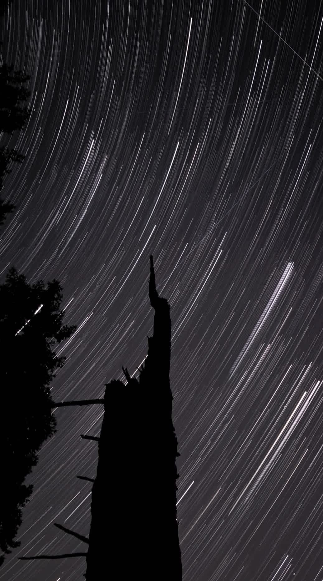 Dauenhauer Family Campground