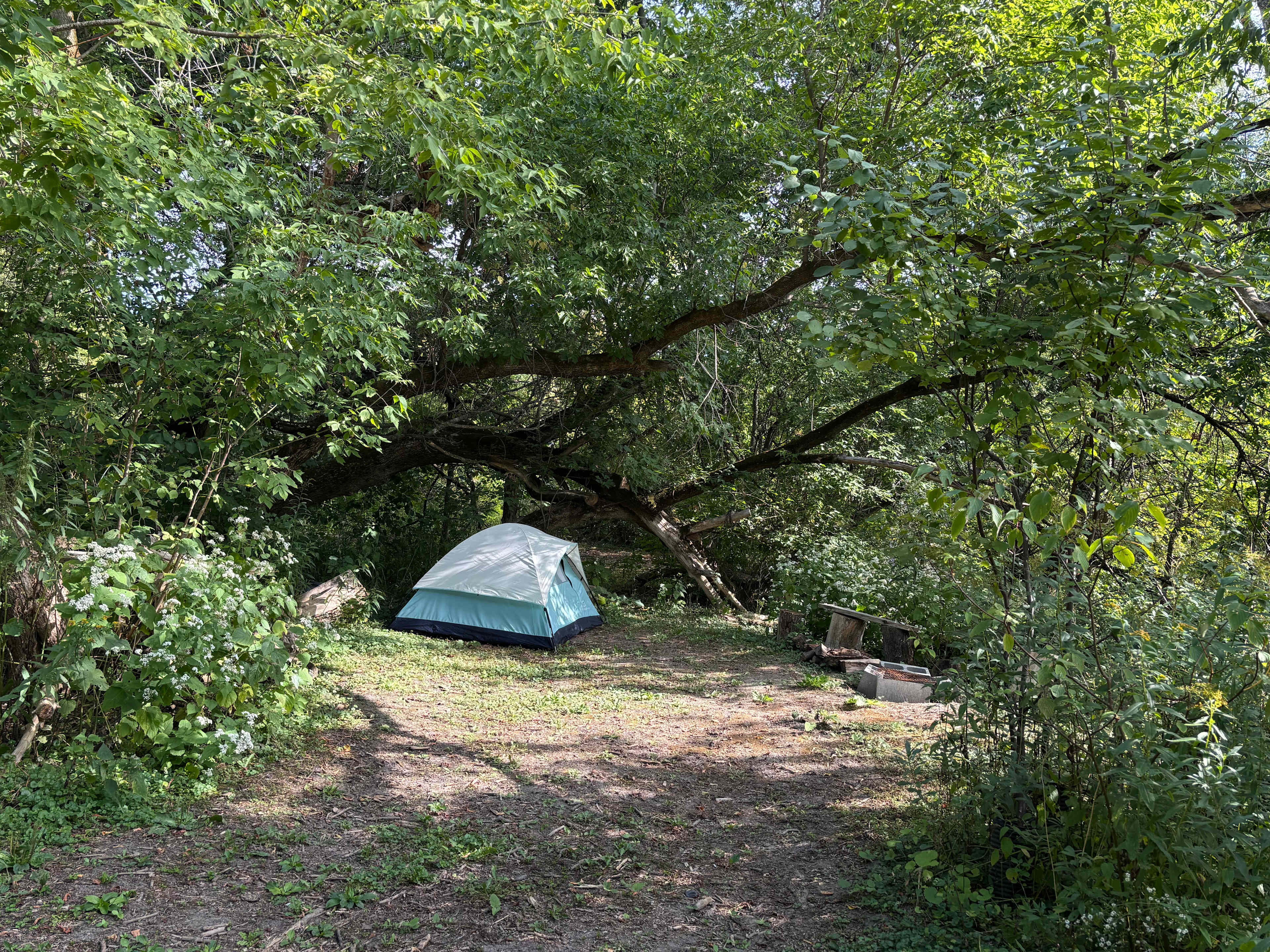La Nation BedROCK 🤘 🏕️🔥🌲