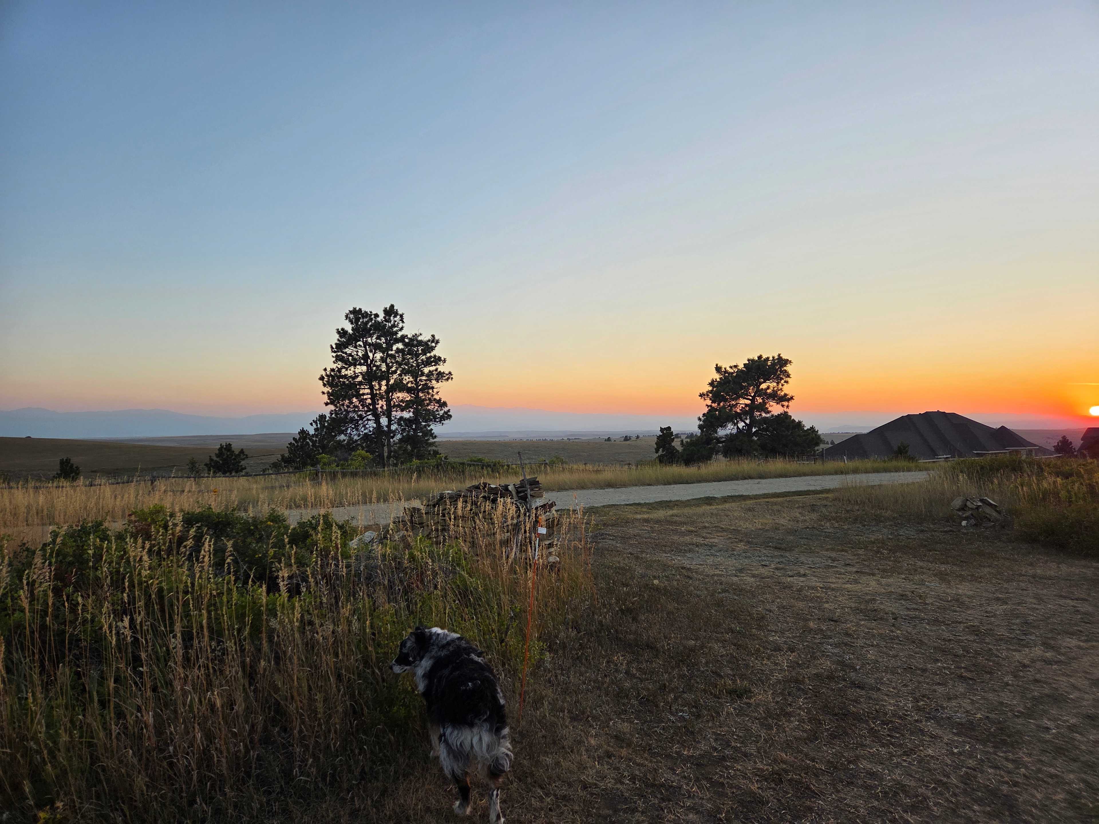 Big Sky Vistas