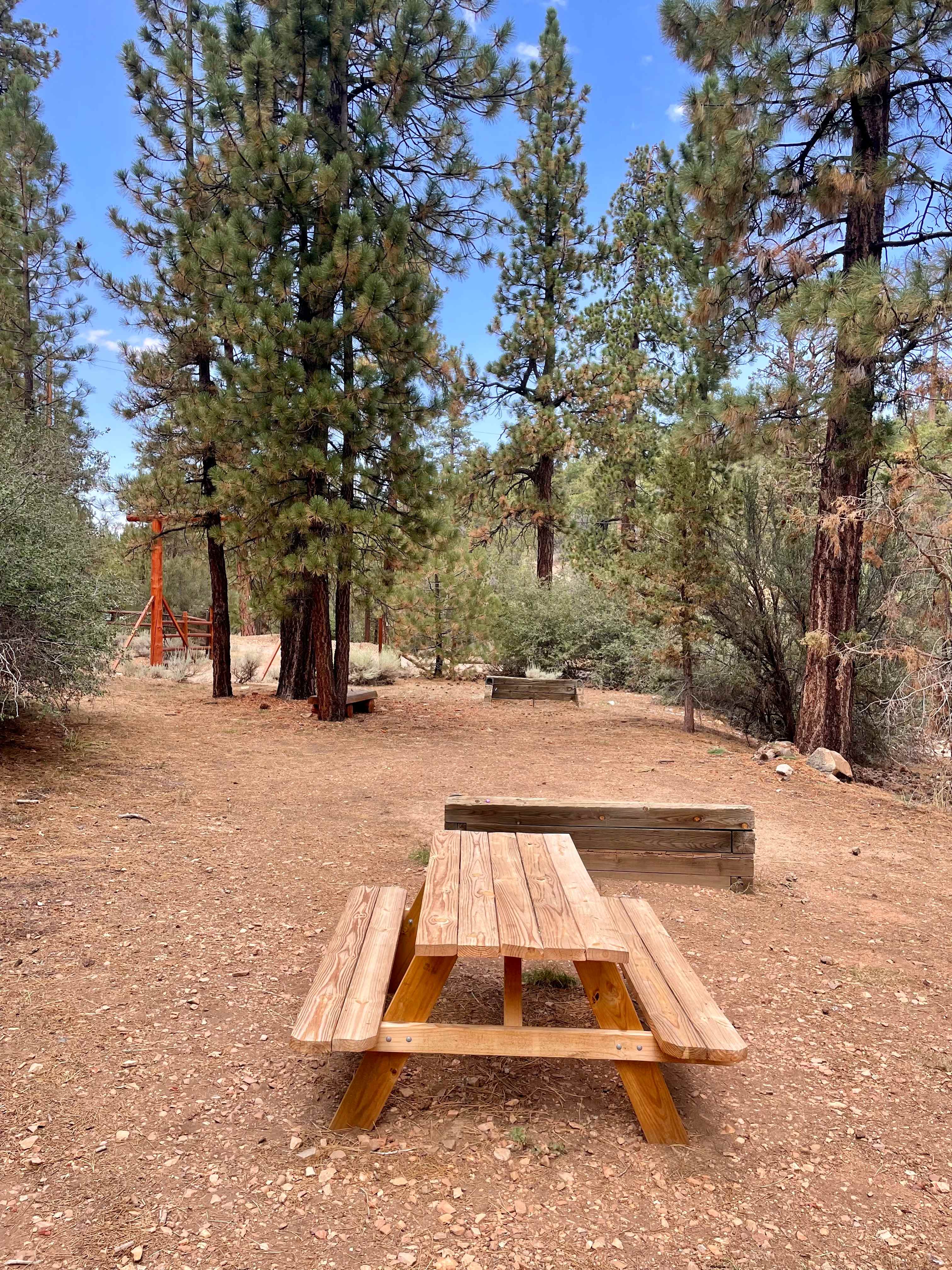 Bear Hollow Camp Site