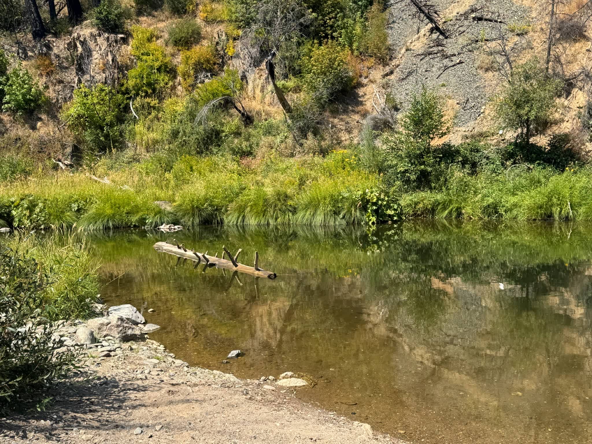 Butterfly Valley Yurt