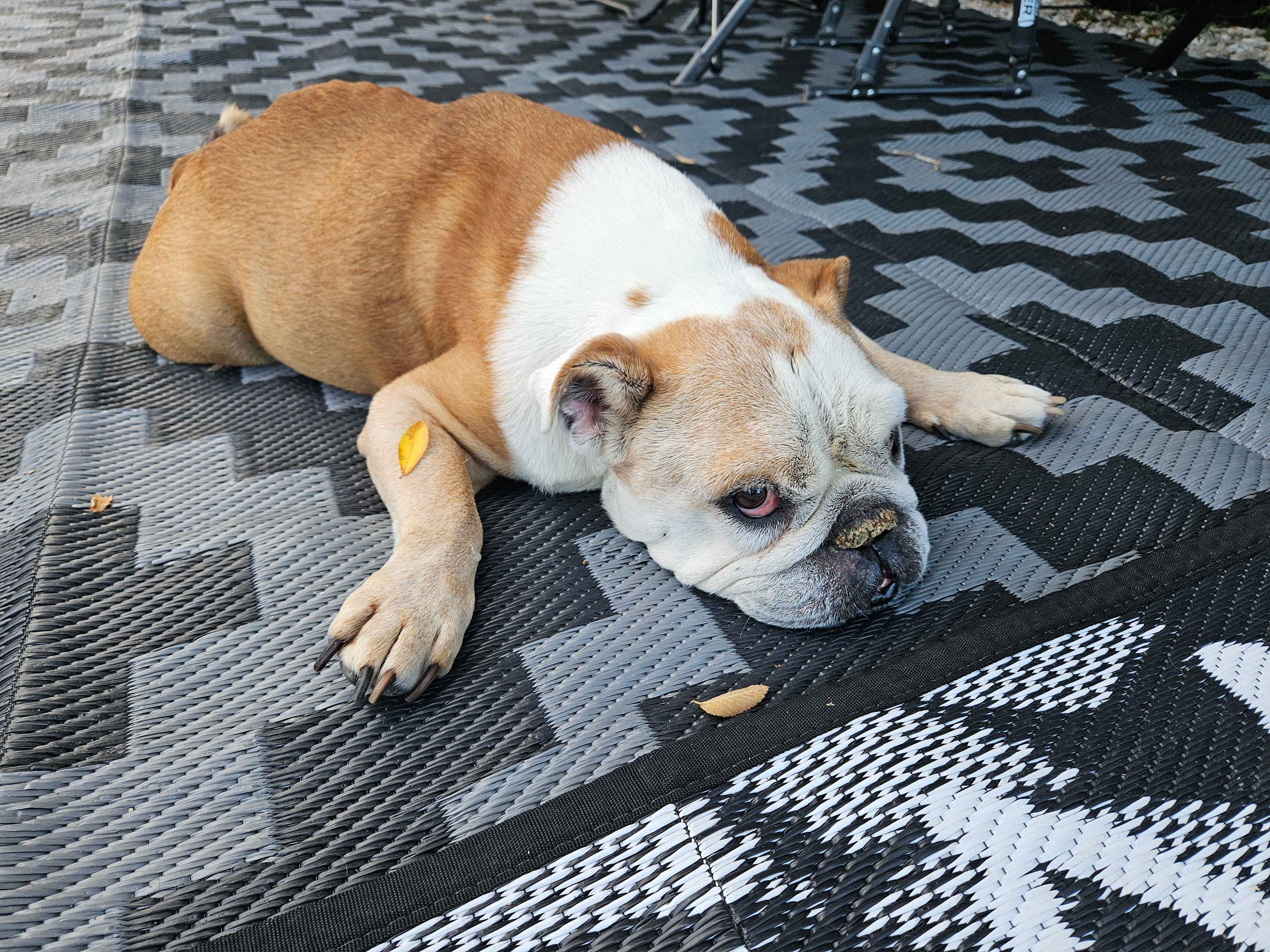 Maggie said it was a great place to relax.