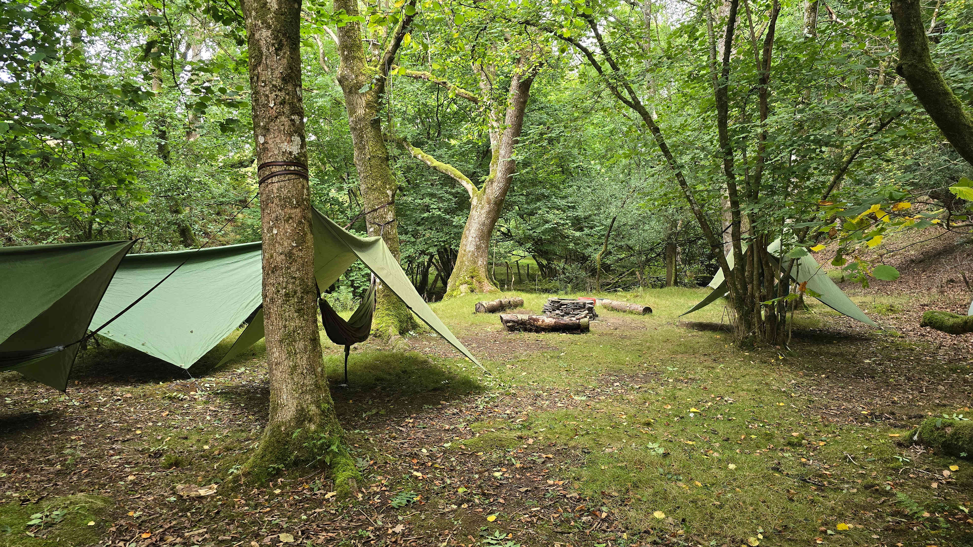 Wild Hammock Camping