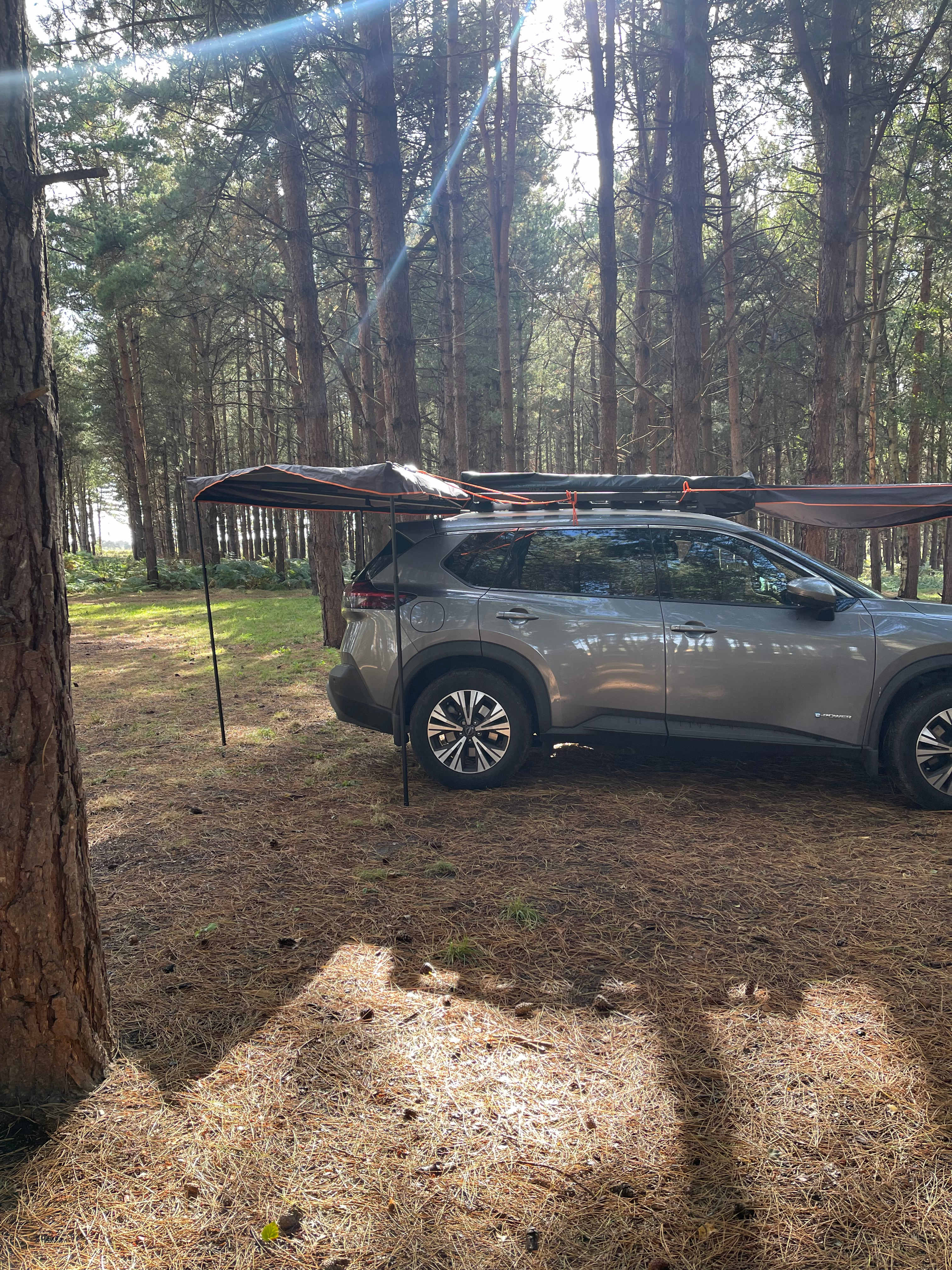 Holistic Woods Wild Campsite