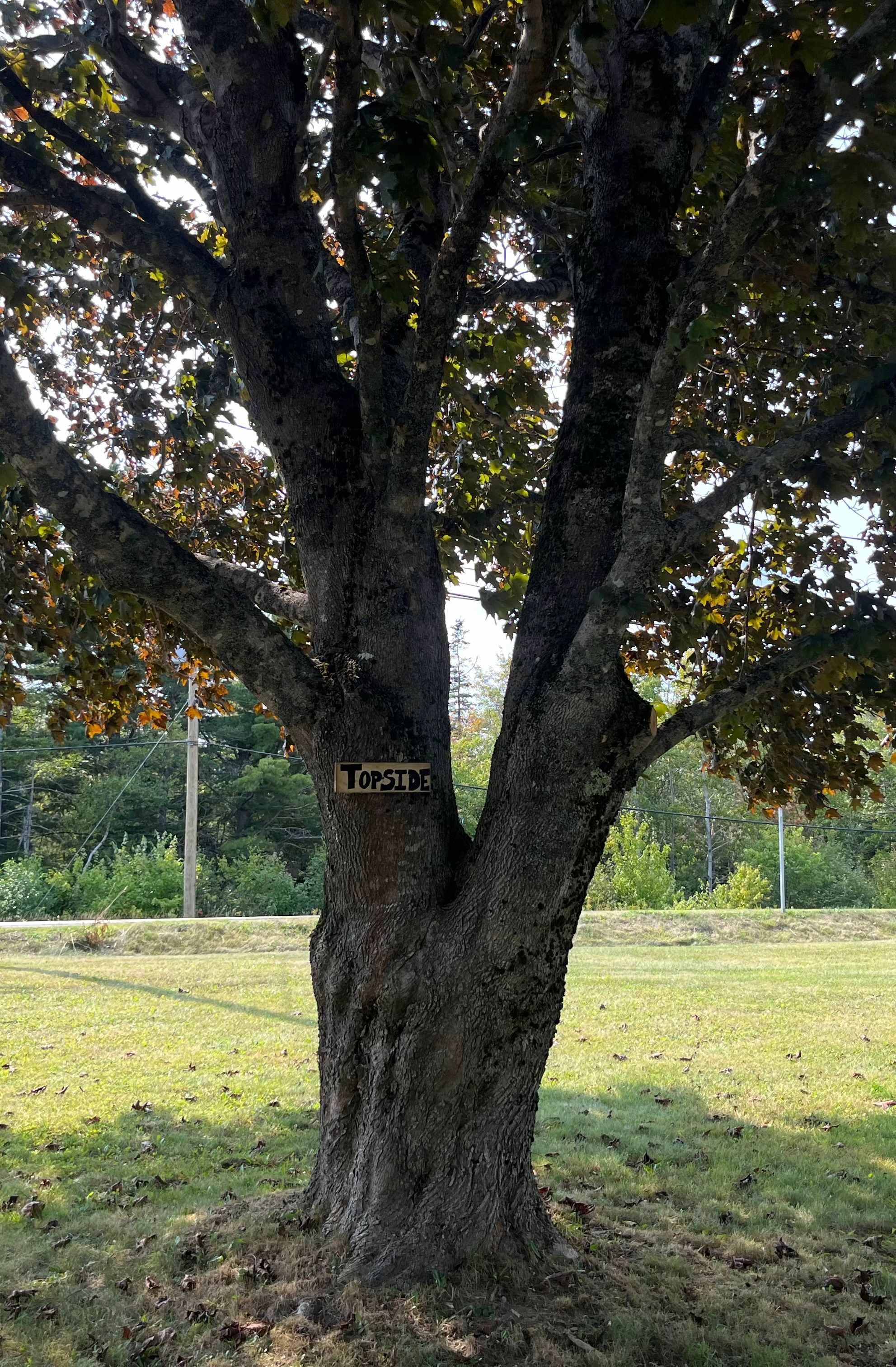Boondockers Lunenburg