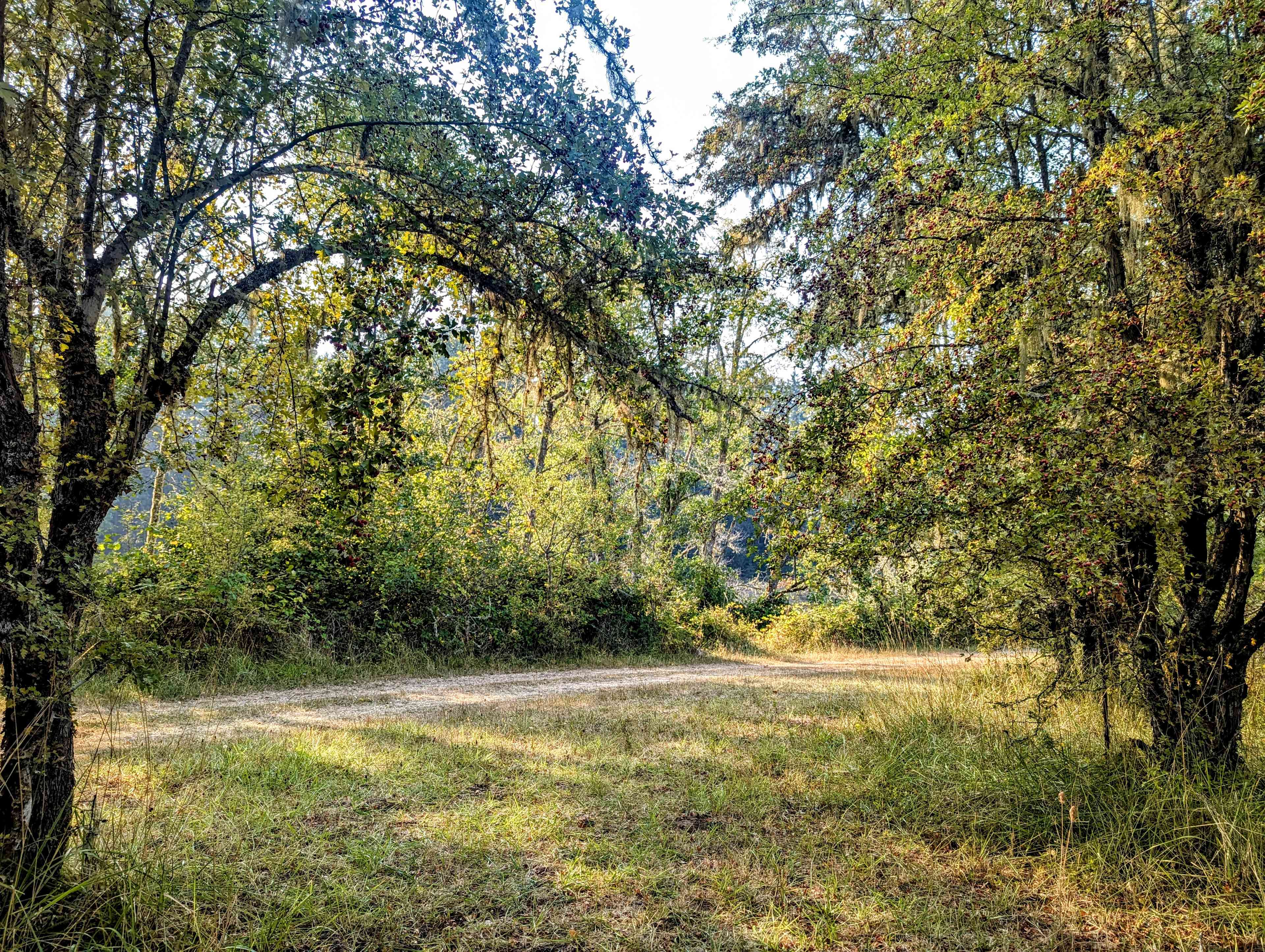 River Ranch Campground