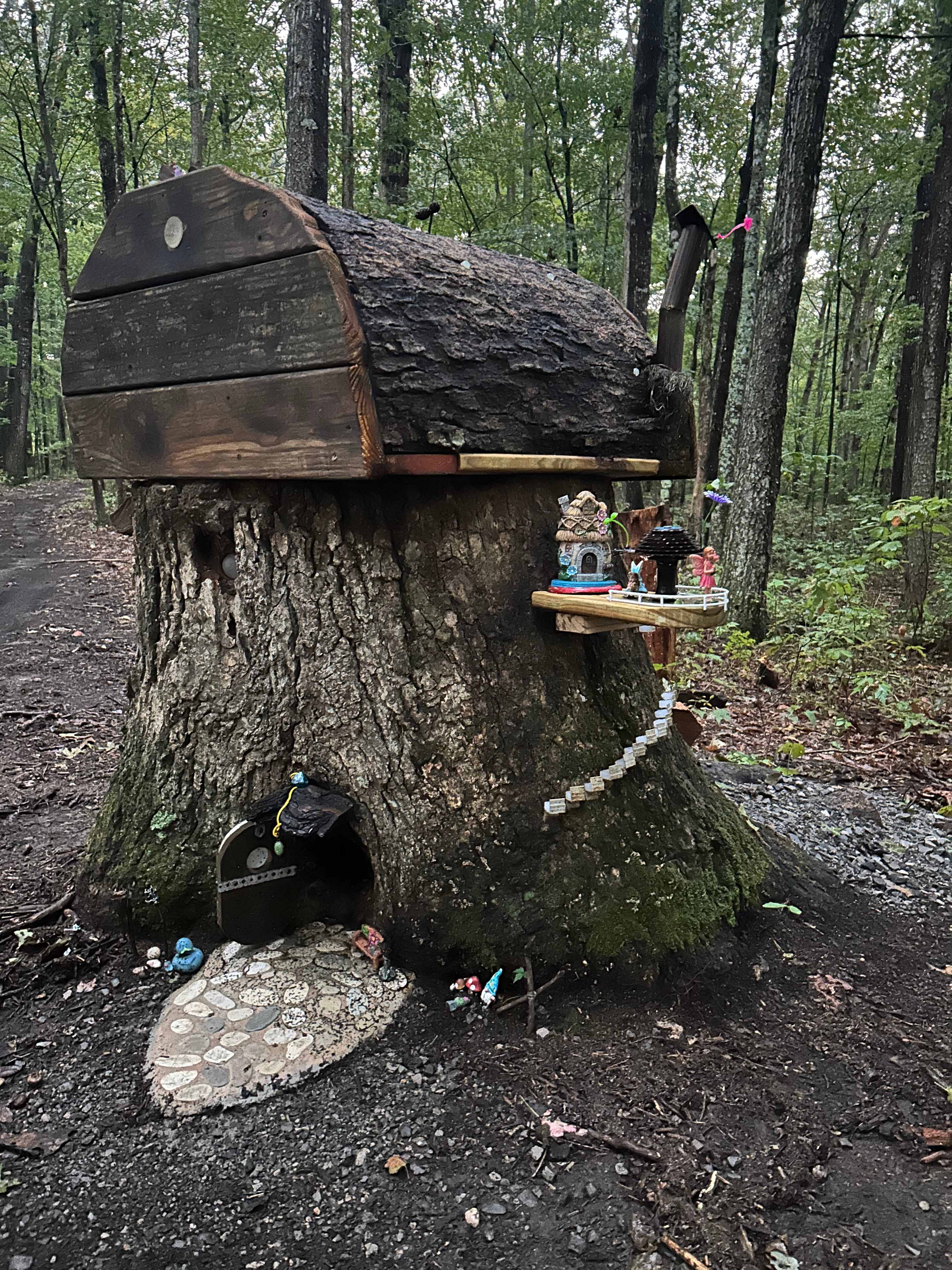 The Falls at Sewanee Creek