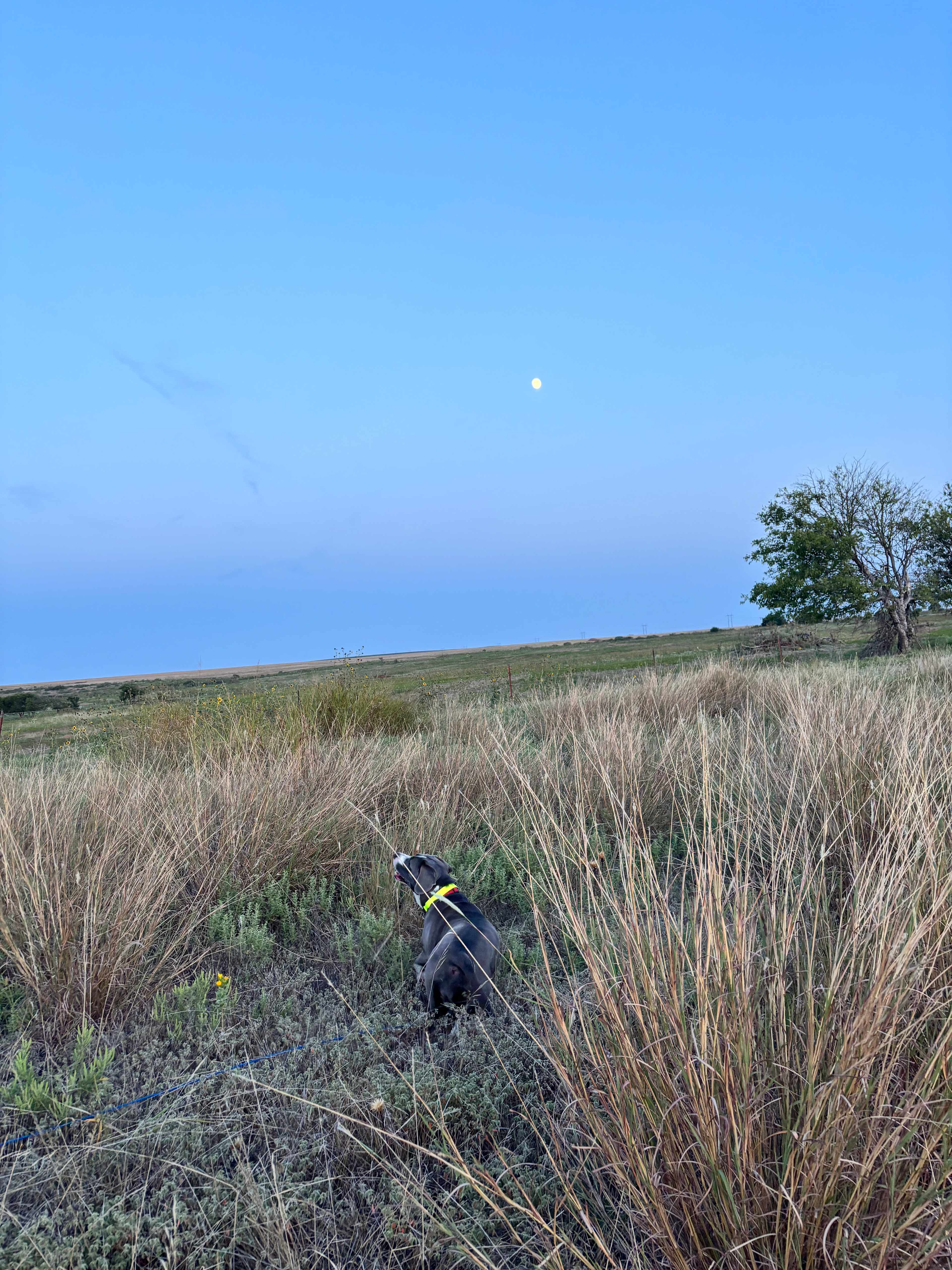 FMF Blank Canvas Campground