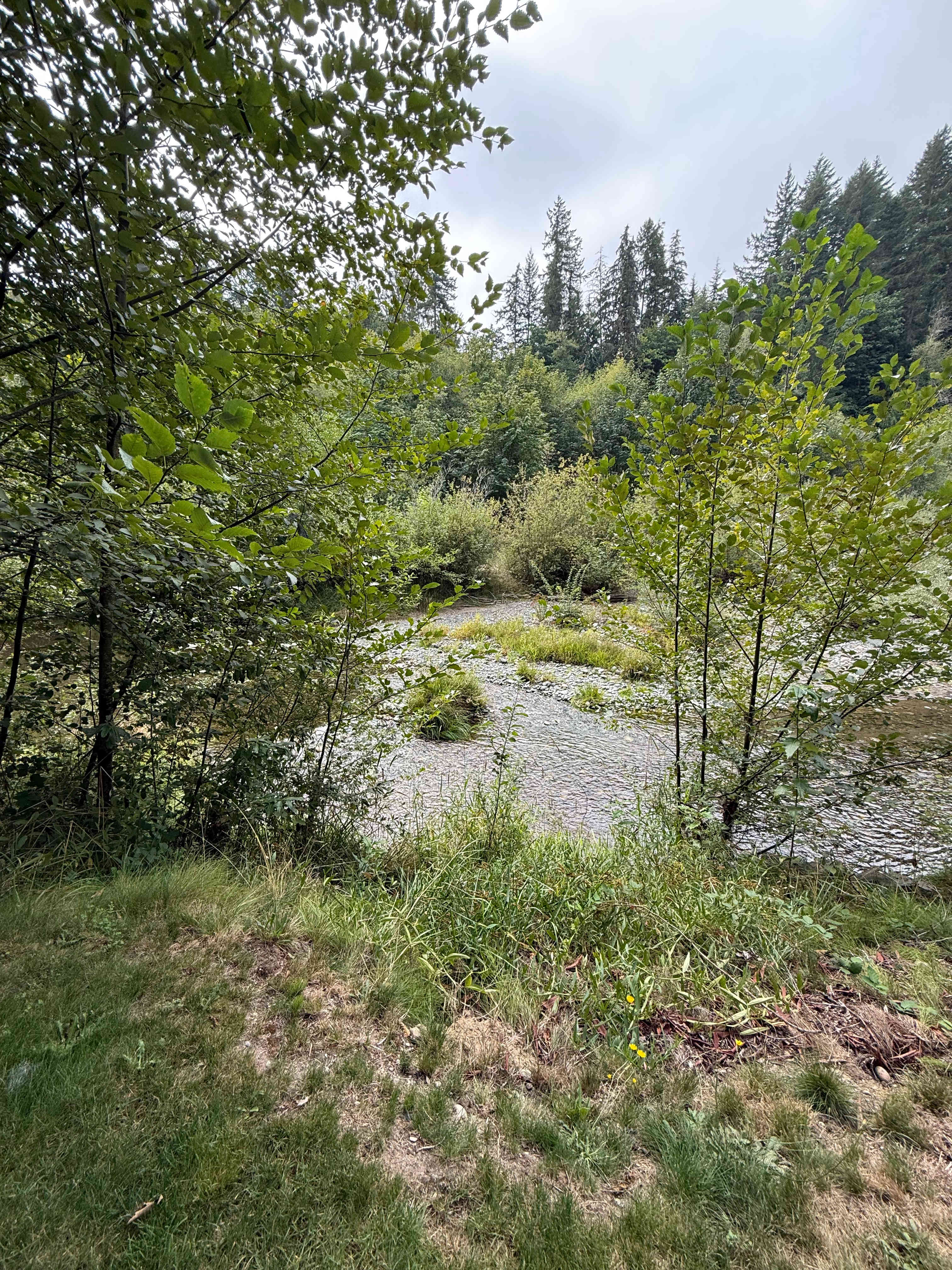 Tahuya River Lodge Campground