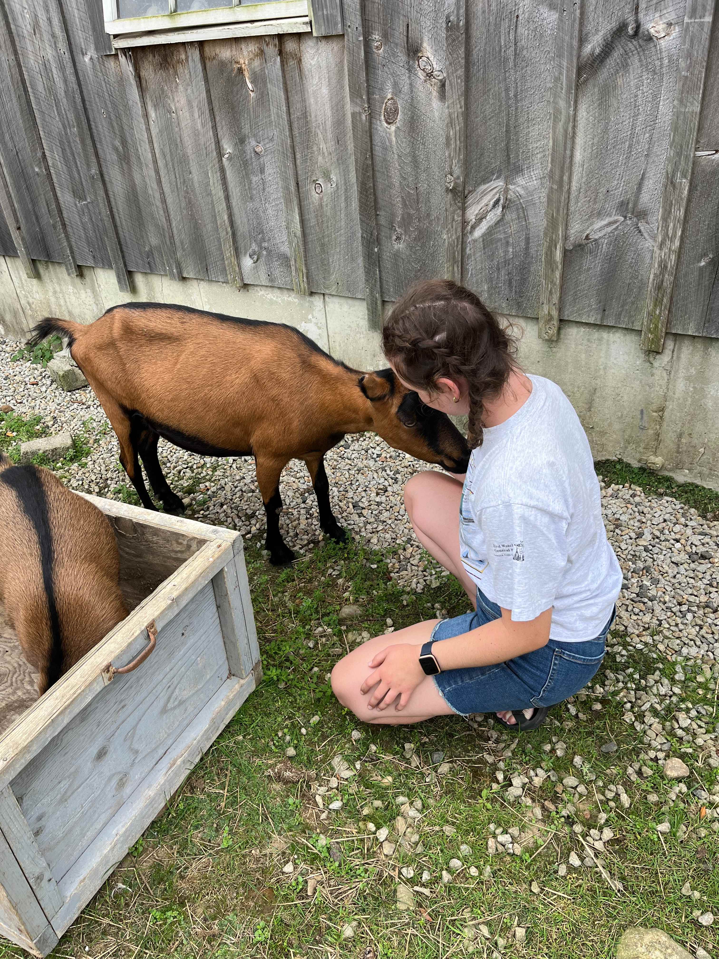 Someday Farm and Forest