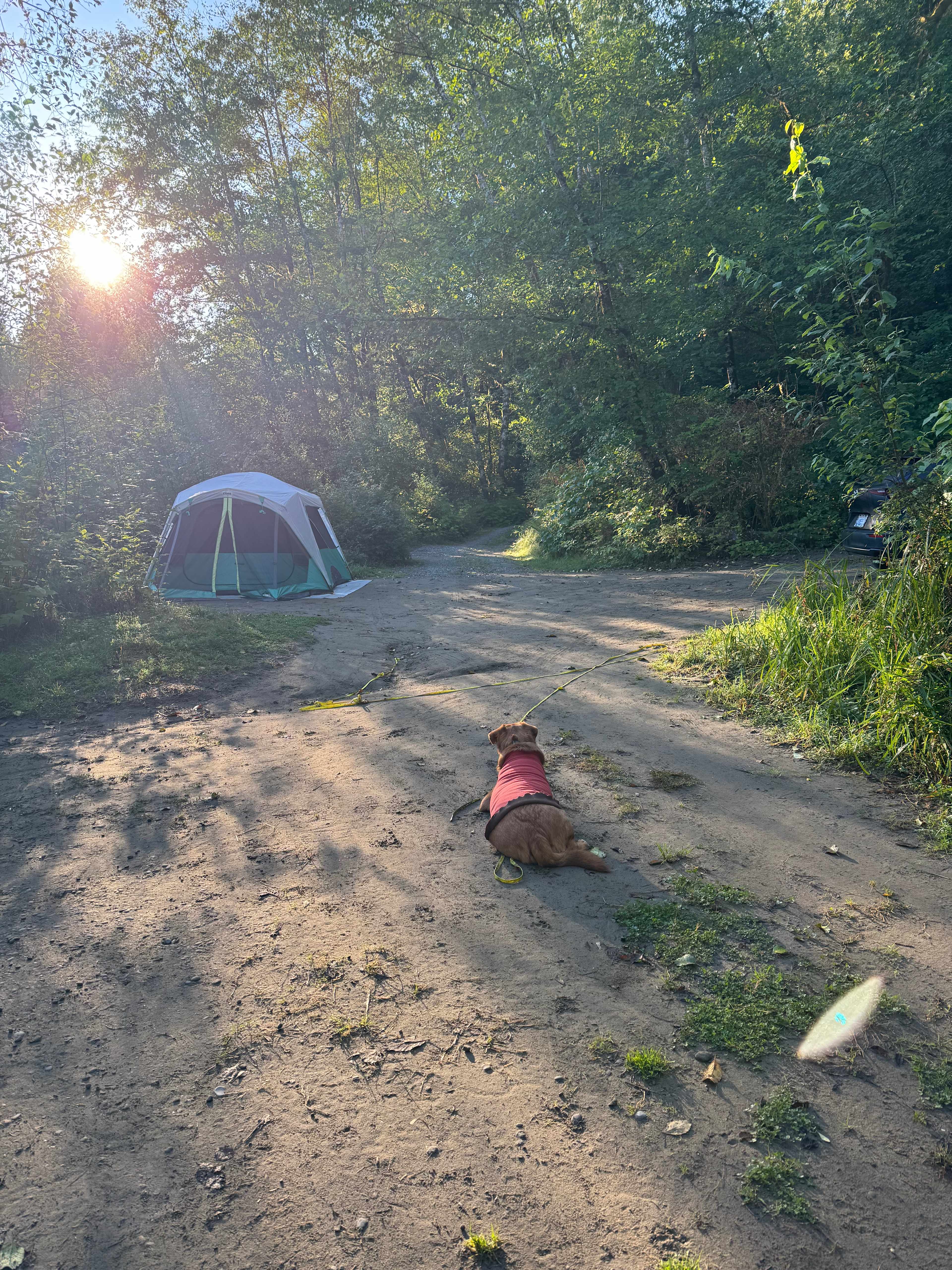 Bogachiel Upriver Campsites